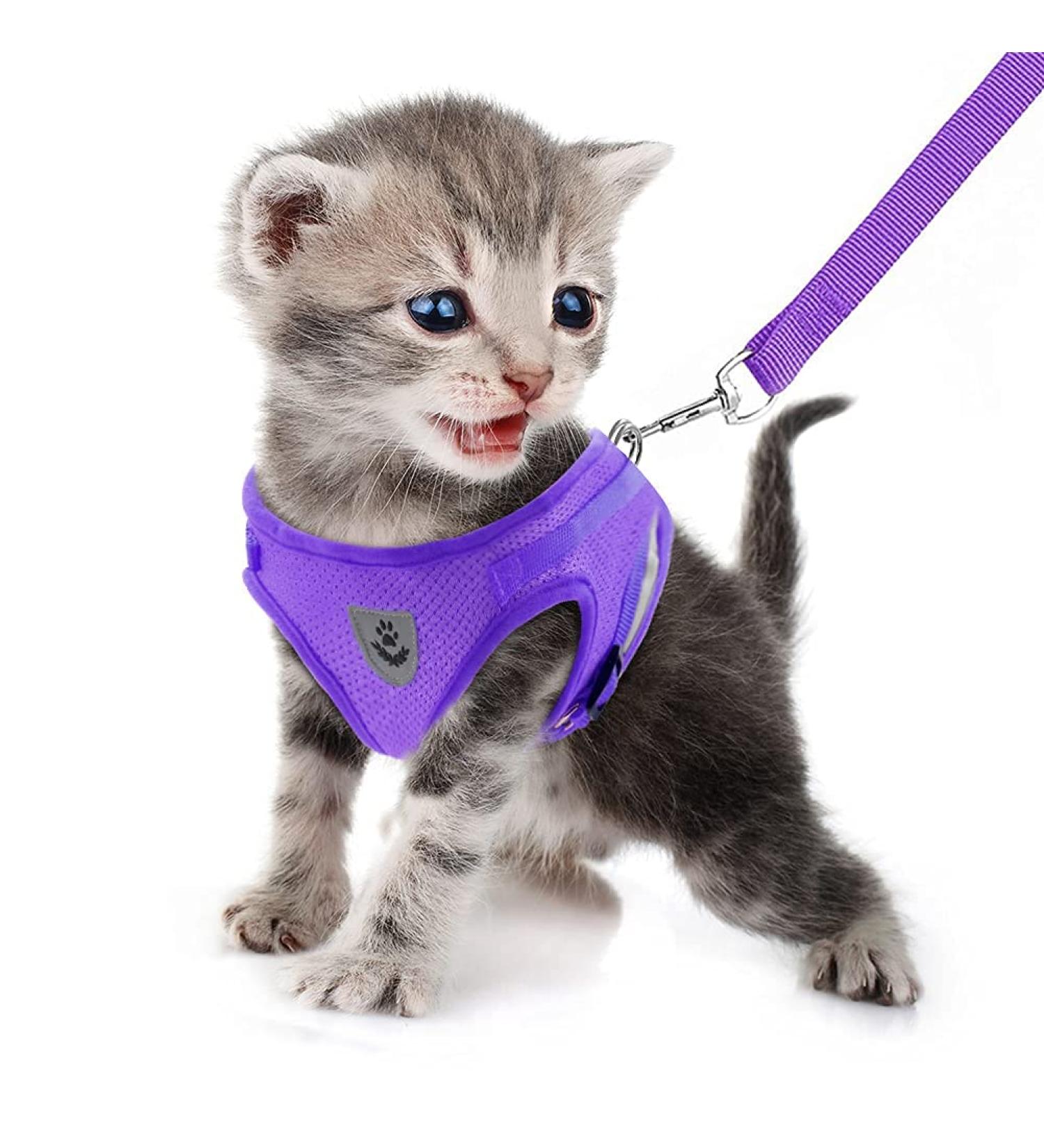 Femax Dog Harness & Linen Set - Soft Mesh Padded Reflective & Adjustable - Breathable Breasts for Walking Running & Training (30-34 cm Purple) - Ideal for Dogs Puppies & Cats | International Shipping Available - Buy Online on GoSupps.com