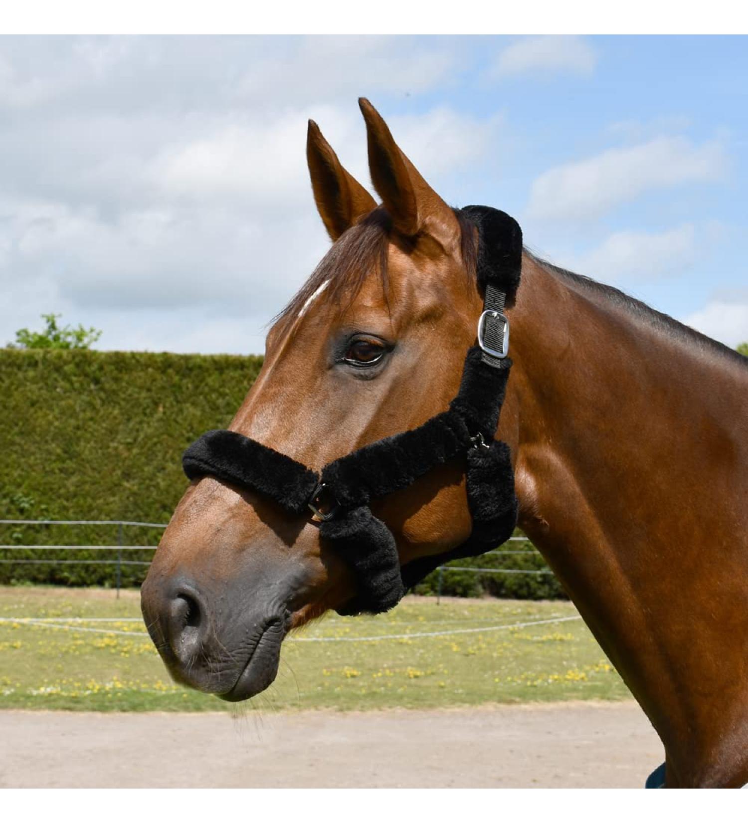 Rhinegold Fur Trim Headcollar - Full - Black