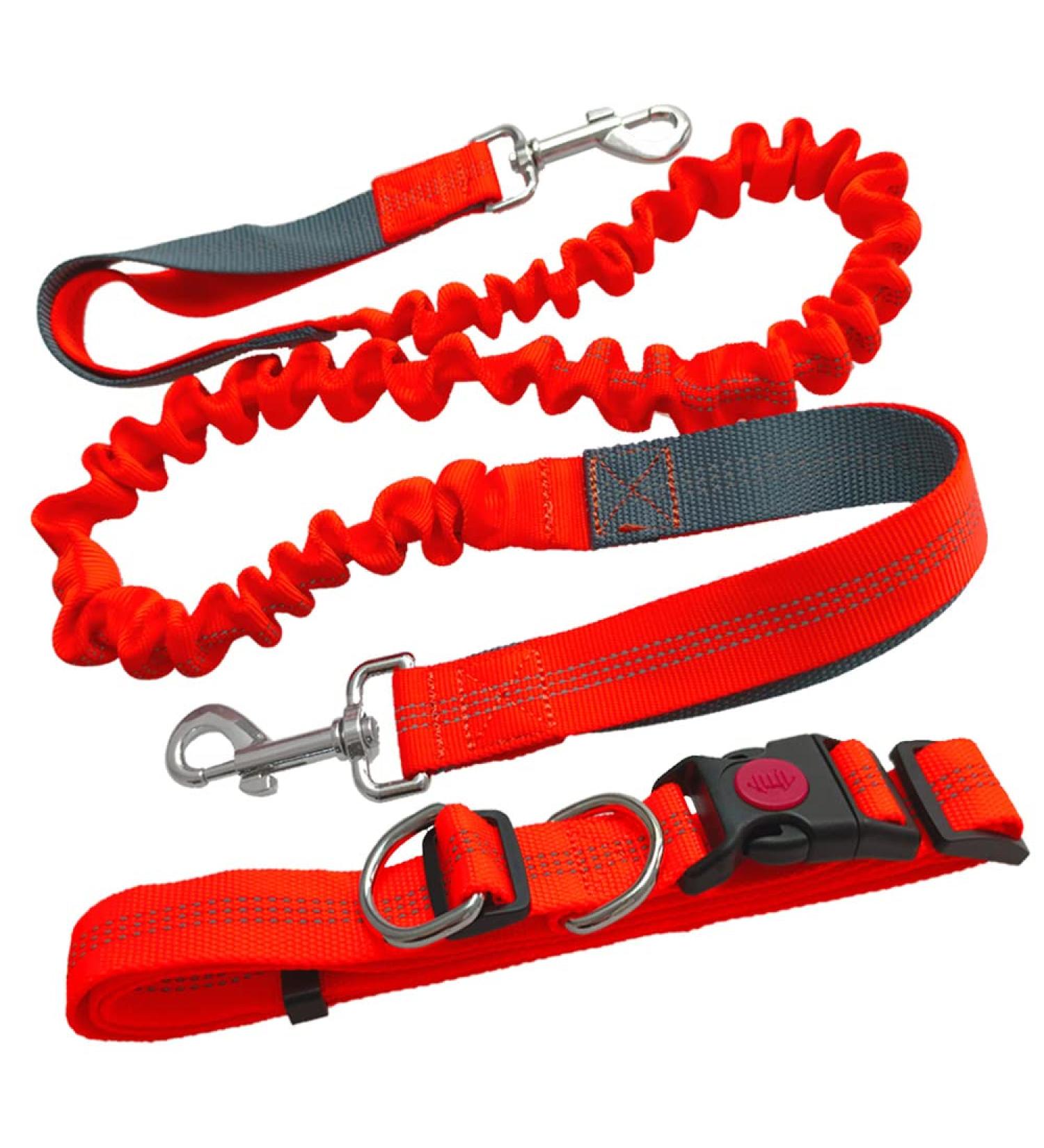 Aiqeer Orange Hands Free Dog Leash Adjustable Waist Belt and Retractable Bungee Leash Jogging Dog Leash with Reflective Stitching (Grey Handle) - Buy Online on GoSupps.com
