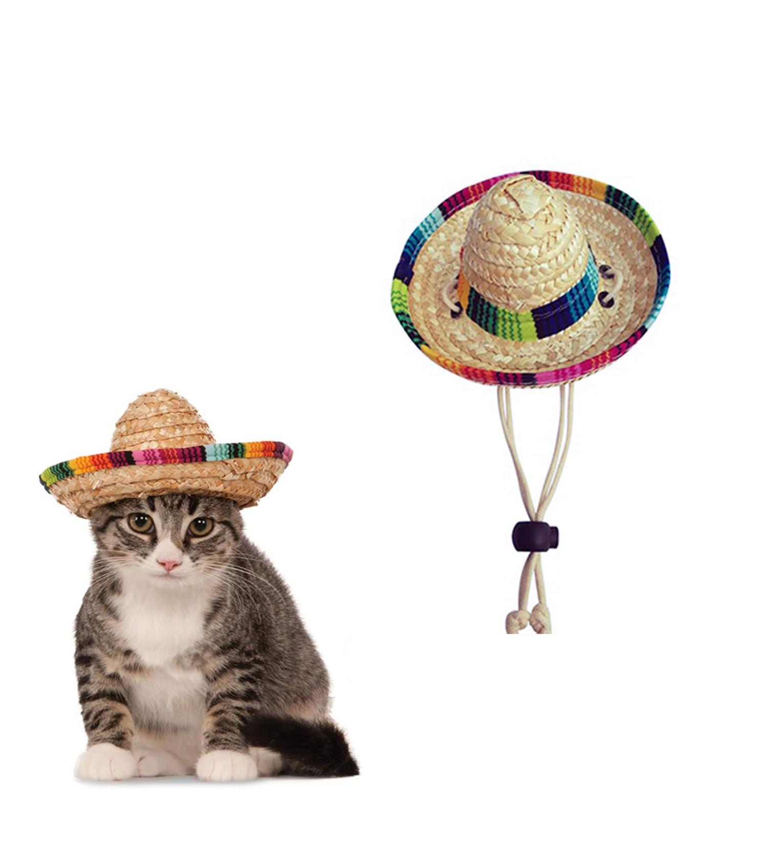 AWOCAN Pet Straw Hat Funny Mexican Sombrero Cap Party Decorations for Birthday for Small Pets/Puppy/Cat - Buy Online on GoSupps.com