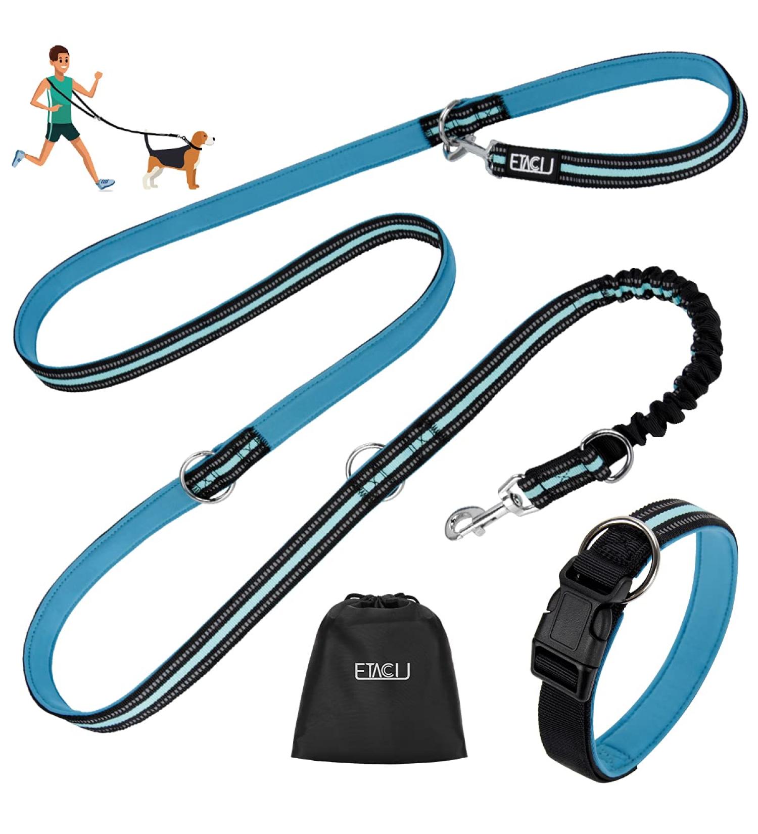 Etaccu 3m Double Linen Free-Handed Practice Line - Non-Slip Handle for Medium to Large Dogs up to 50kg - Reflective Blue - Buy Online on GoSupps.com