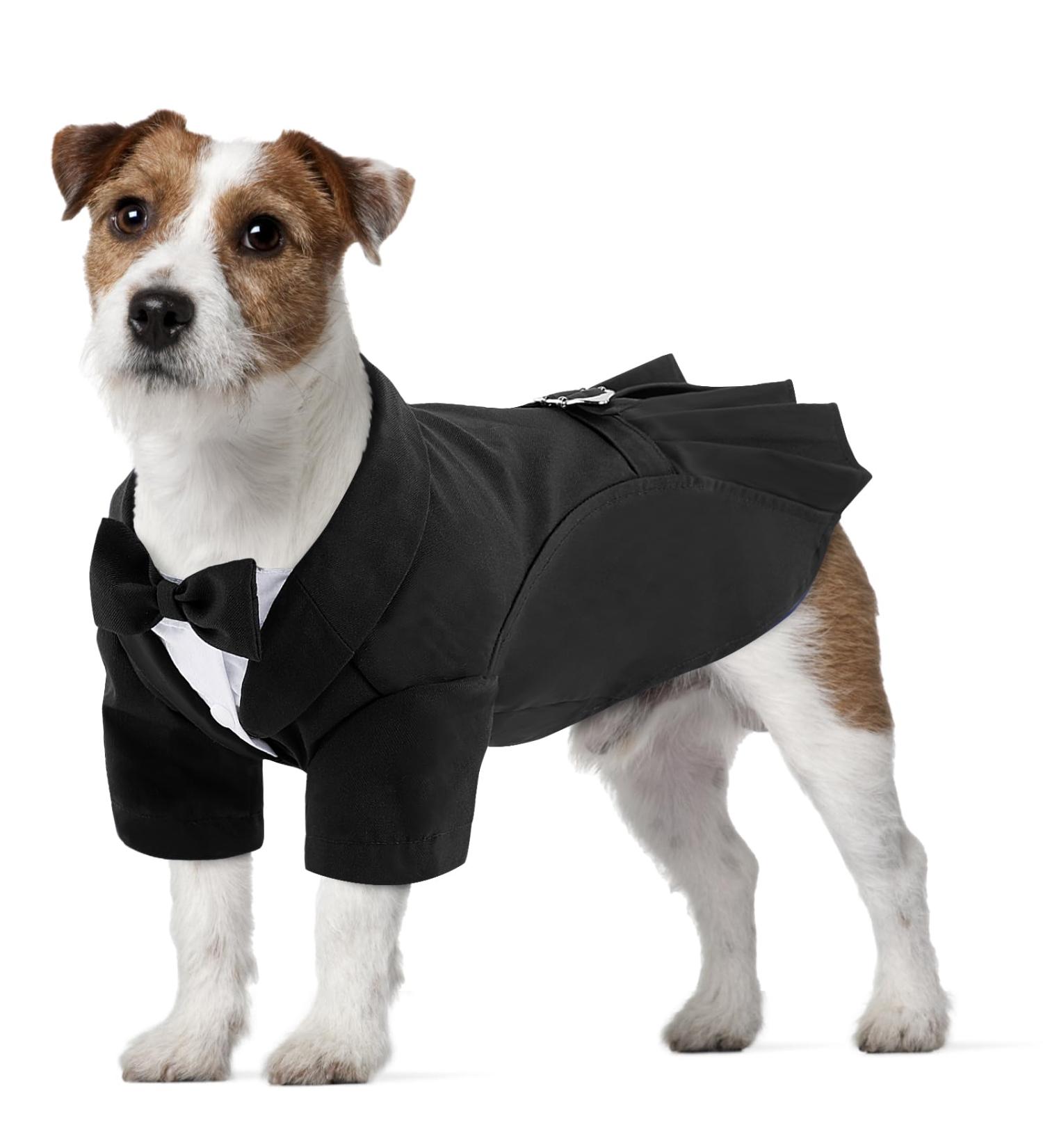 Cit toile Dog Wedding Suit Set | Tuxedo Shirt for Dogs & Cats | Perfect for Weddings Birthdays & Halloween - Available in Black XL - Buy Online on GoSupps.com