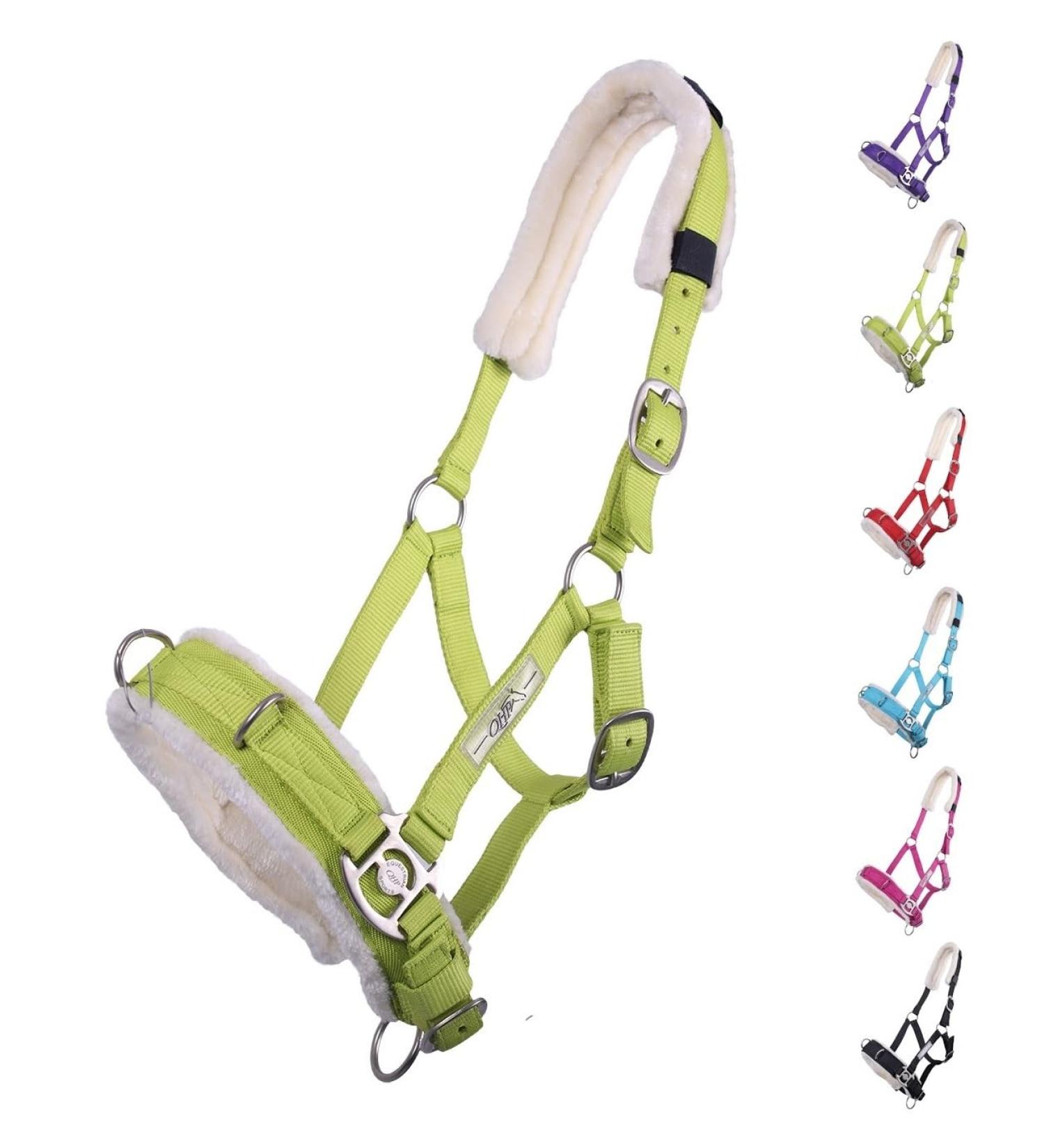 Netproshop Cavesson Lunging Aid for Groundwork - Full Size Light Green for Shetland Cob & Full Ponies - Buy Online on GoSupps.com