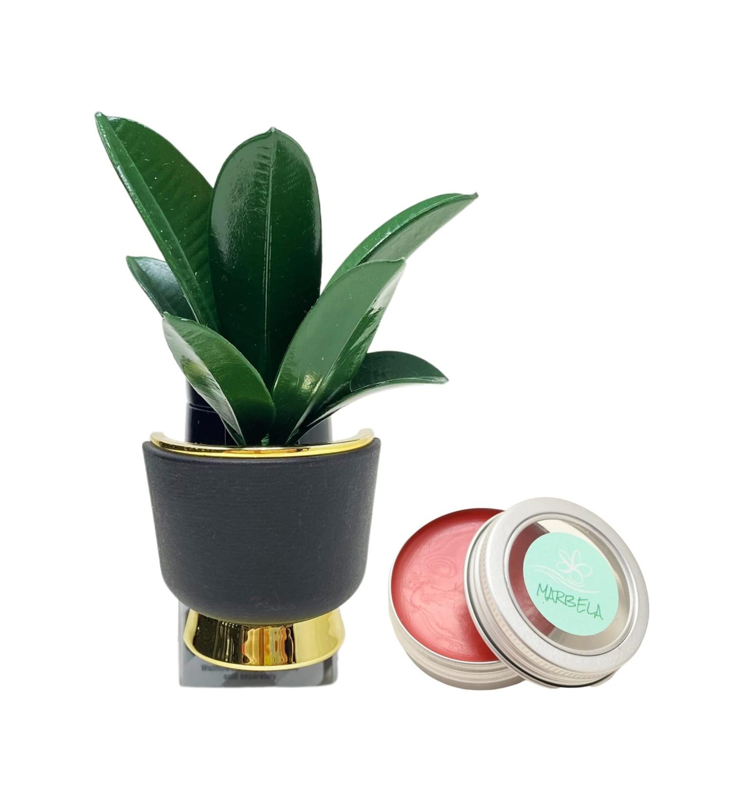 Bath & Body Works Sleek Botanical Wallflowers Fragrance Plug and a Strawberry Lip Balm - Buy Online on GoSupps.com