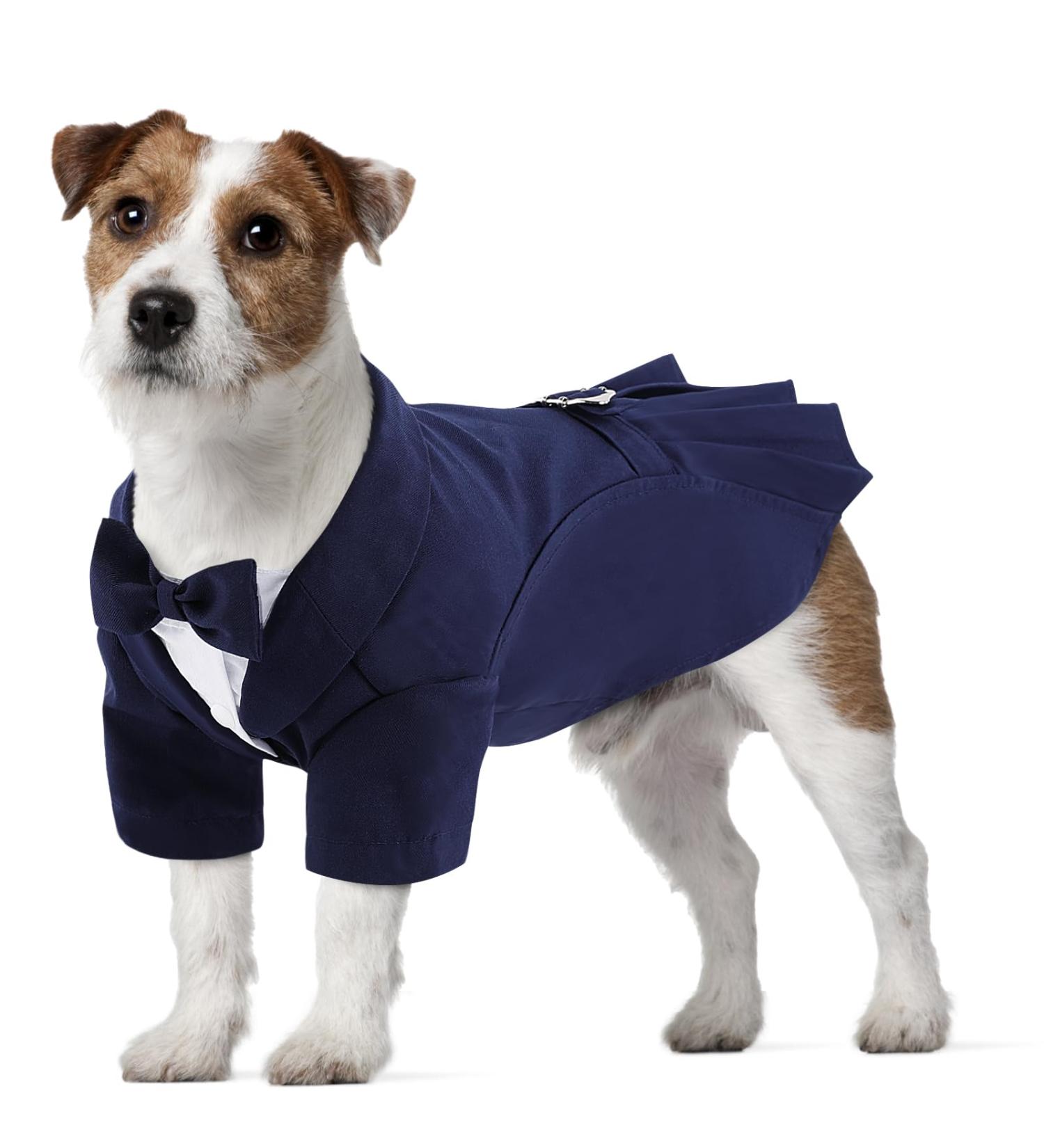 Cit toile Dog Wedding Suit Set | Tuxedo Shirt for Small Medium & Large Dogs | Stylish Party Clothing in Blue | Perfect for Weddings Birthdays & Halloween - Buy Online on GoSupps.com