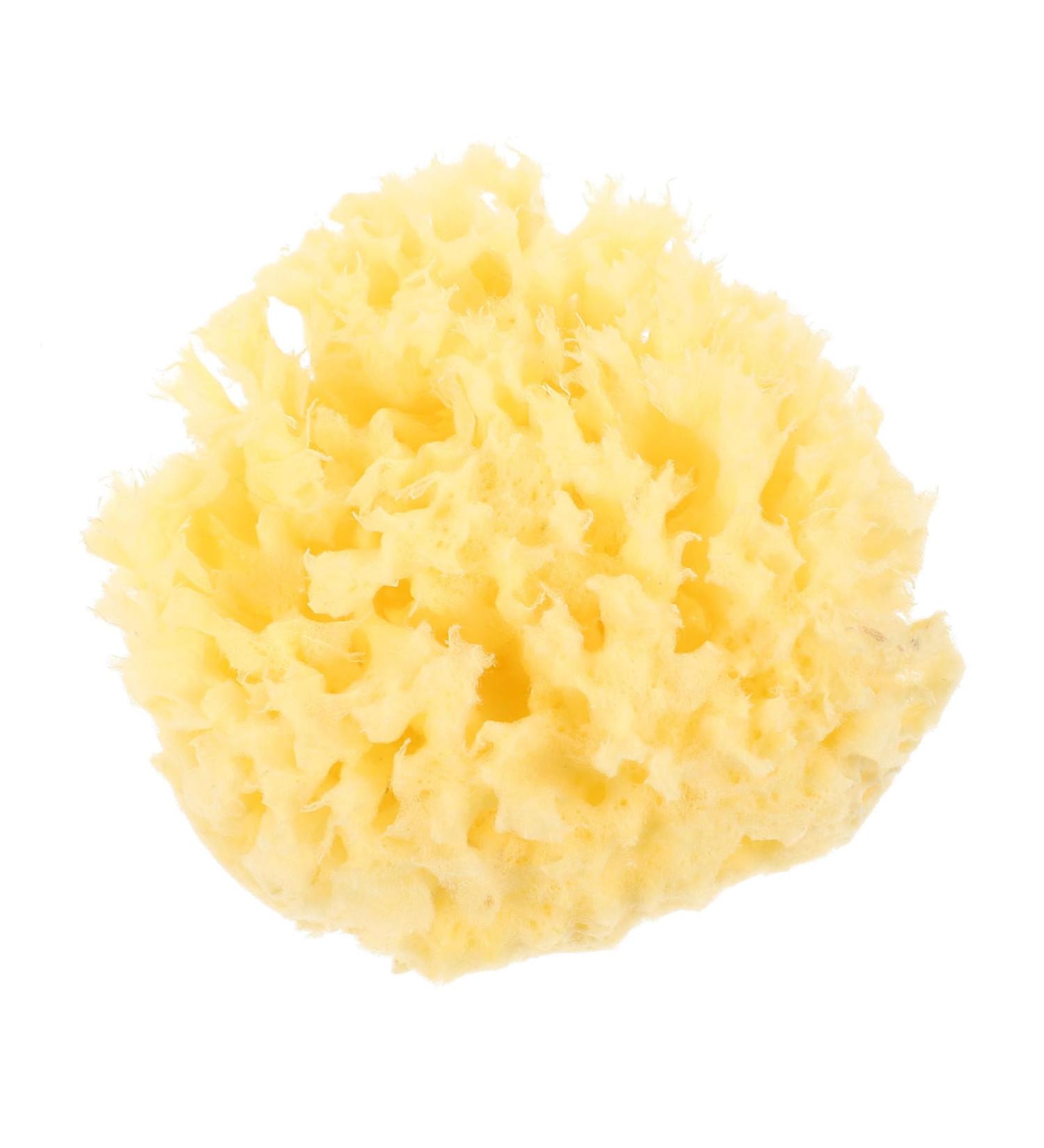 Gogogmee Moisturizer Natural Sponges for Bathing Natural Bath Sponge Sea Sponges for Shower Body Sponges Sponge for Shower Bathing Sponge Natural Sponges for Body Shower Sponge - Buy Online on GoSupps.com