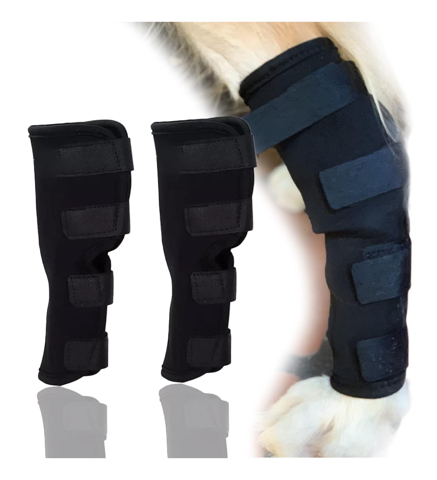 Dog Rear Leg Hock Brace Canine Wrap Protect Wounds Repair(1 Pair) - Buy Online on GoSupps.com