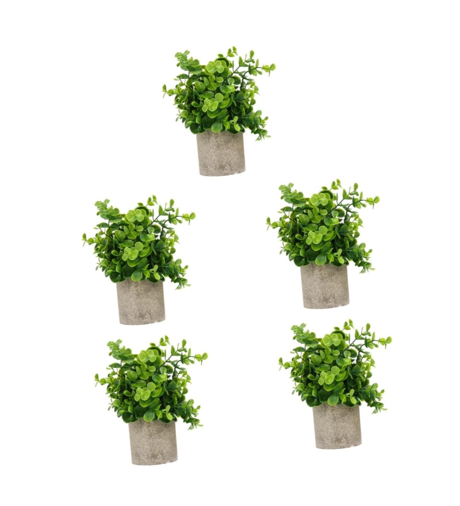 TOPBATHY Home Decor 5 Pcs Simulated Potted Plant Small Pulp Potted Plants Eucalyptus Small Greenery Decor As Shownx5pcs 22x8cmx5pcs - Buy Online on GoSupps.com