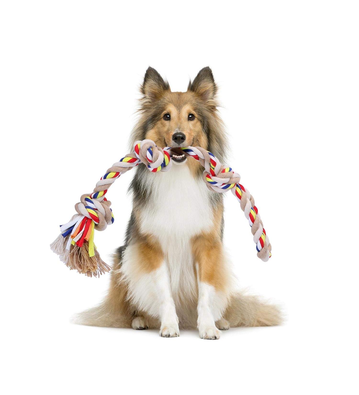 Nobleza 100% Cotton Dog Toy Rope - Promote Dental Health & Mental Wellness for All Dog Types (Beige & Braun L - 53cm) - Buy Online on GoSupps.com