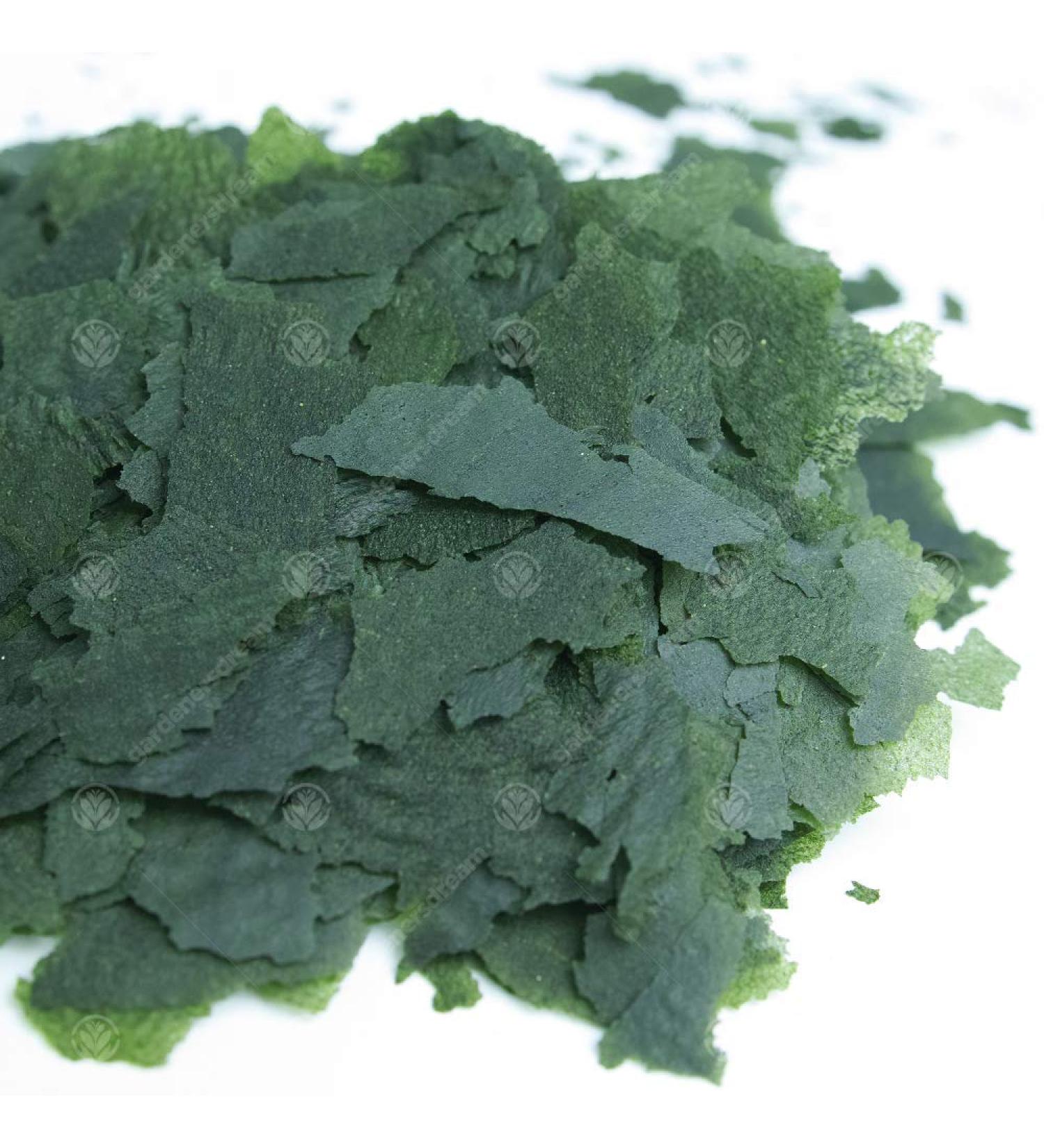 GardenersDream Premium Spirulina Algae Flake Mix Complete Food for Aquarium Fish - Buy Online on GoSupps.com