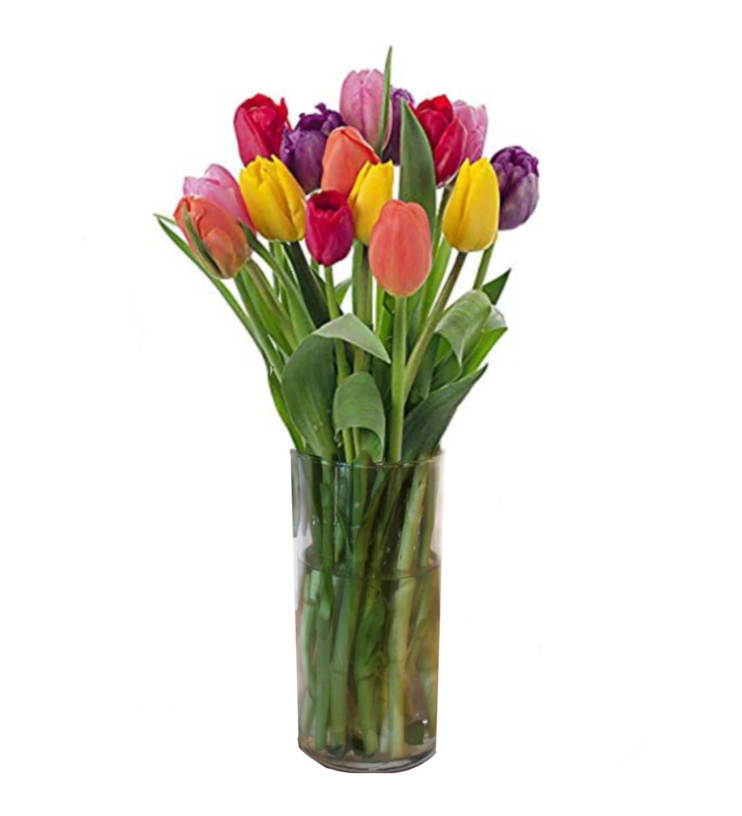 Stargazer Barn Happy Bouquet: Farm Fresh Colorful Tulips Delivered to Your Door - Buy Online on GoSupps.com