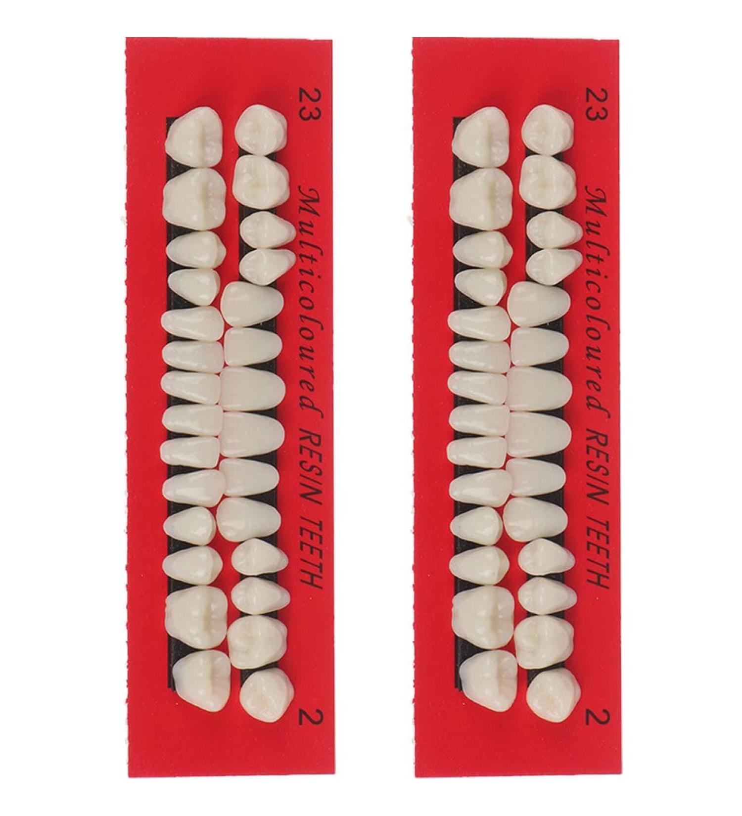 Baokuan 28PC Dental Teeth Lessons Model - Realistic Resin Tooth Substitute Set for Educational Use - Buy Online on GoSupps.com