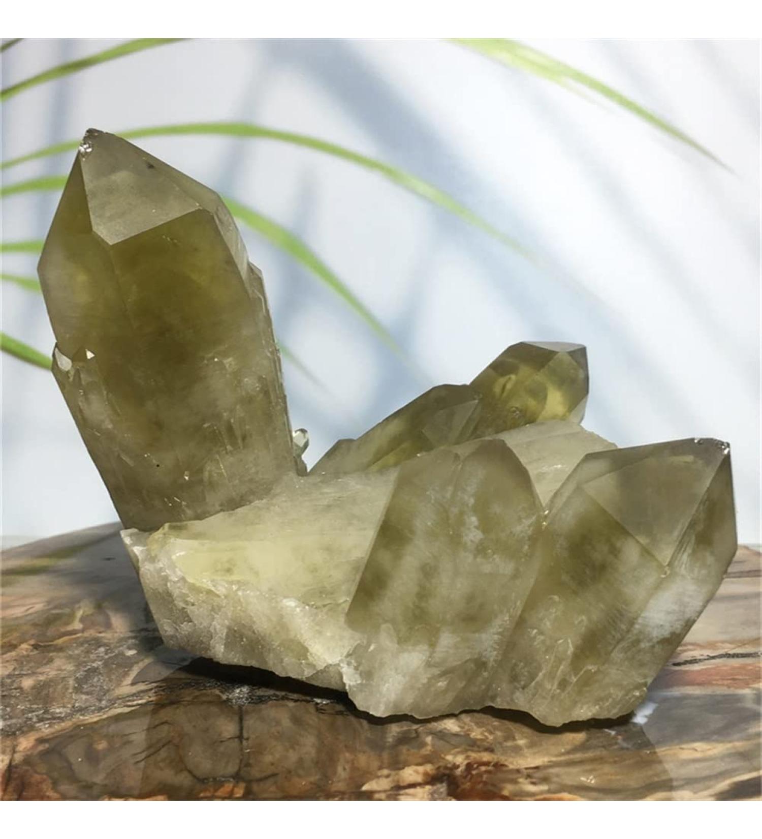 Citrine Natural Citrine Natural Crystal Cluster Quartz Specimen Feng Shui Raw Yellow Gem Room Decoration Fashion Collection - Buy Online on GoSupps.com