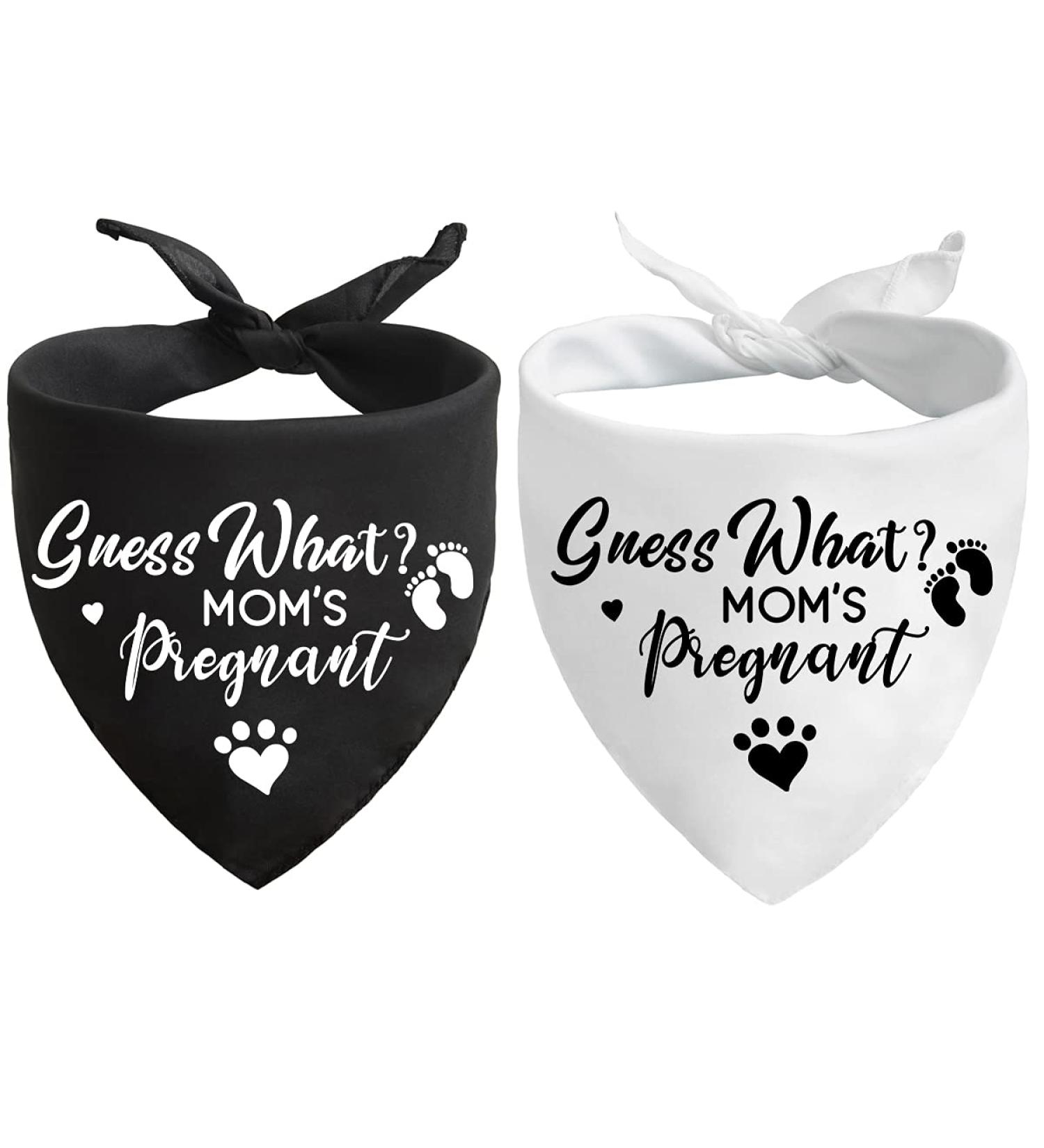 Pregnancy Announcement Dog Bandana Set for Dog Lovers - Gender Reveal Photo Prop and Pet Scarf Decorations - Pack of 2 - Buy Online on GoSupps.com
