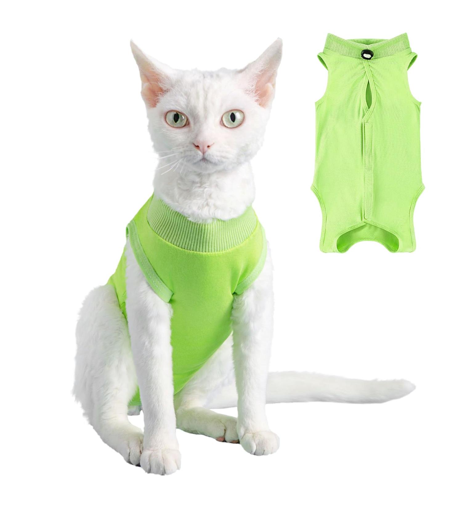 YOLHAMY CATE-RESIVE Yellow Kitten Suit - Post-Op Recovery Anti-Lick Wound Protection Elisabethan Collar Alternative Size M Green - Buy Online on GoSupps.com