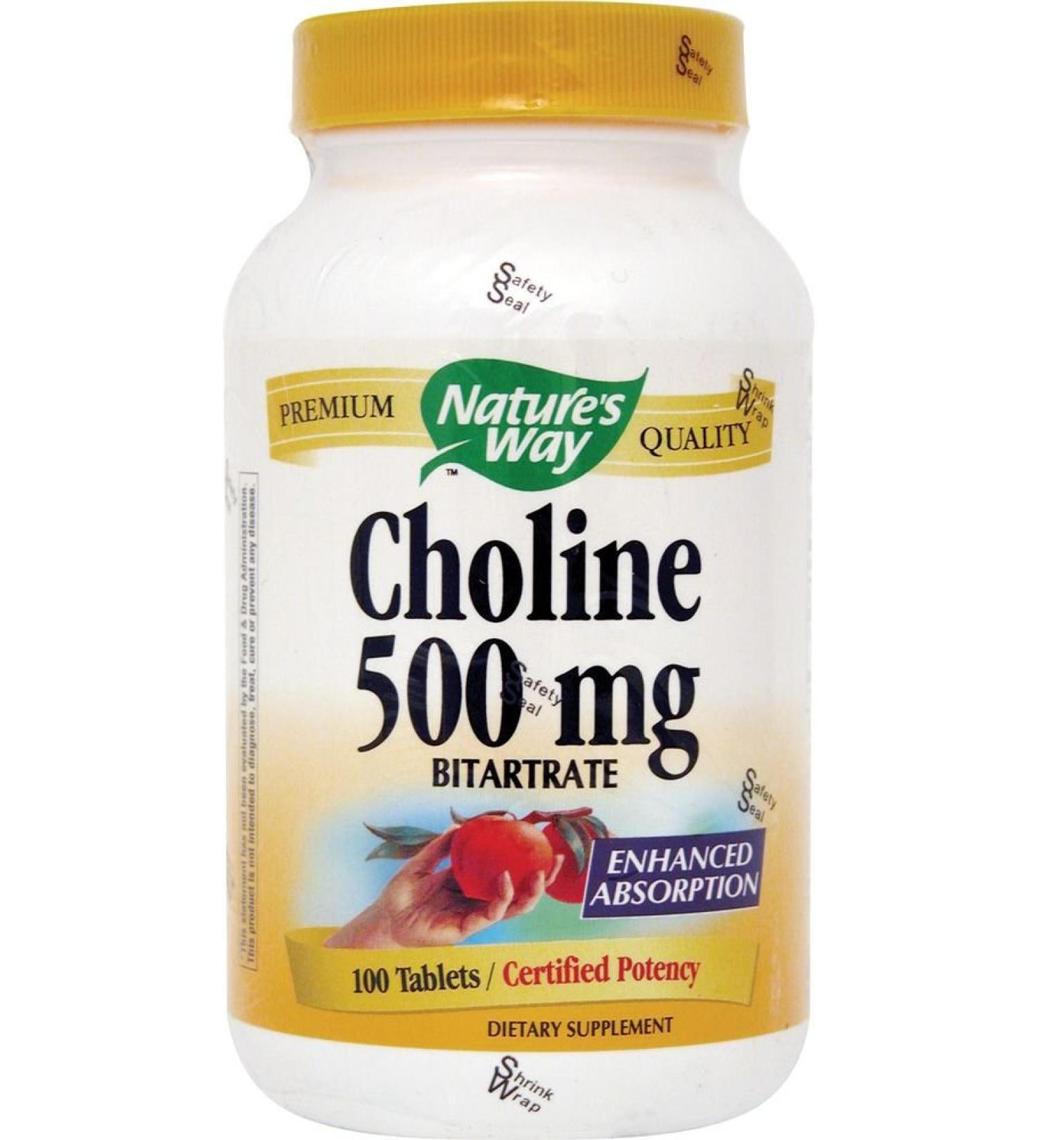 Nature's Way Choline 500 mg - 100 Vegan Tablets | Boost Brain Health - Buy Online on GoSupps.com