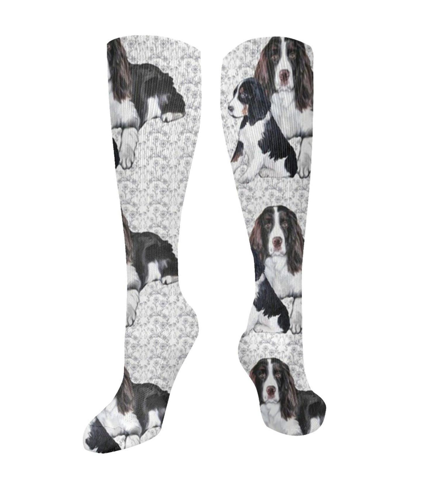 Springer Spaniel Compression Socks for Adults | 15-20 mmHg Support for Running & Cycling - Buy Online on GoSupps.com