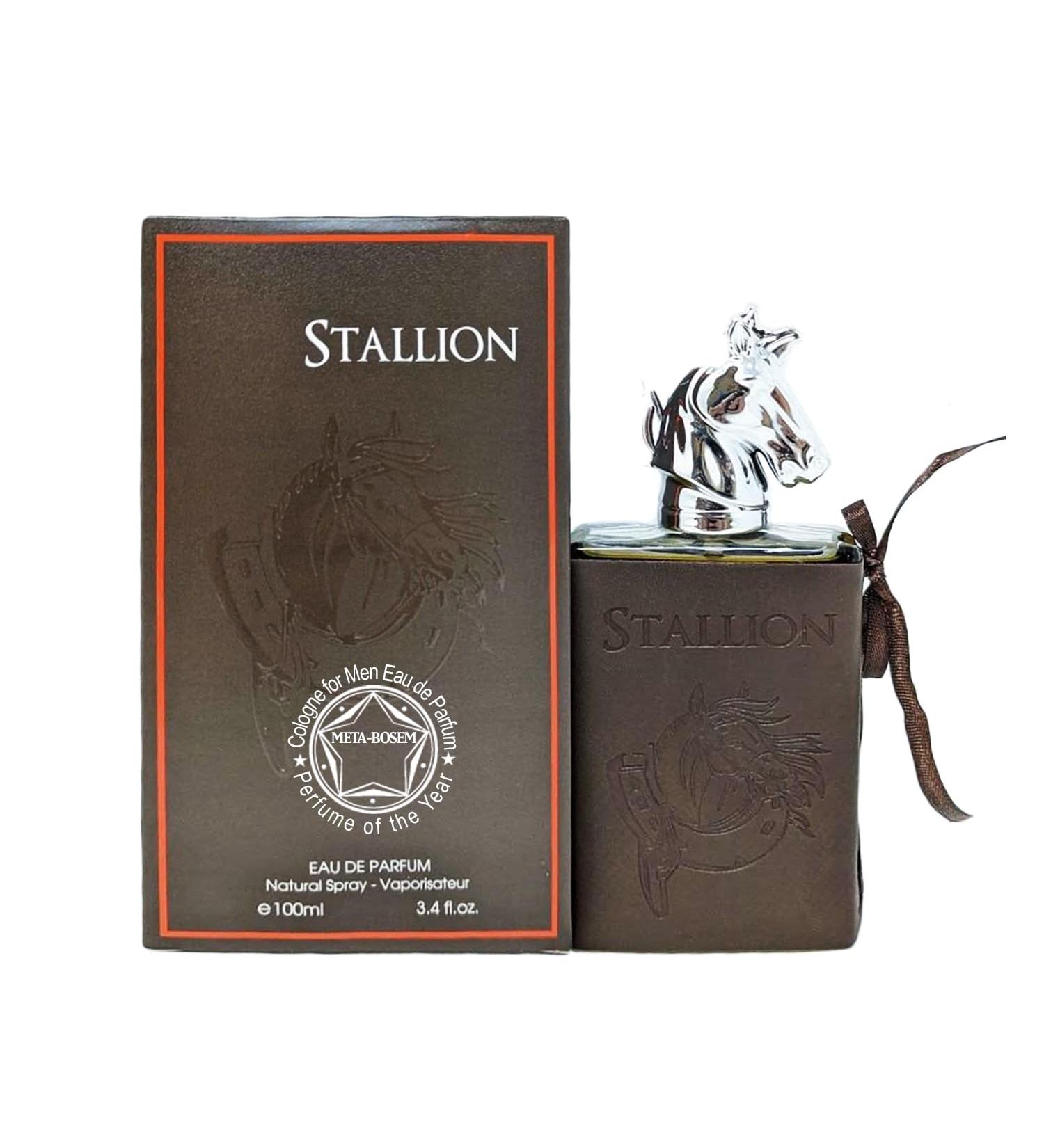 META-BOSEM Stallon Fragrance for Men | Fresh Cologne with Woody Spicy Notes Eau de Parfum Natural Spray - Great Holiday Gift for All Day Use 3.4 Fl Oz/100 Ml