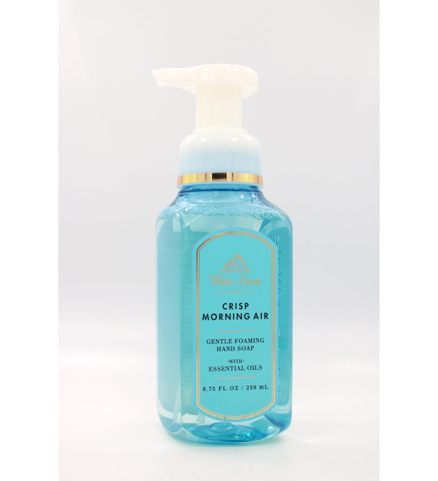 Crisp Morning Air Bath and Body Gentle Foaming Hand Soap 8.75 fl oz