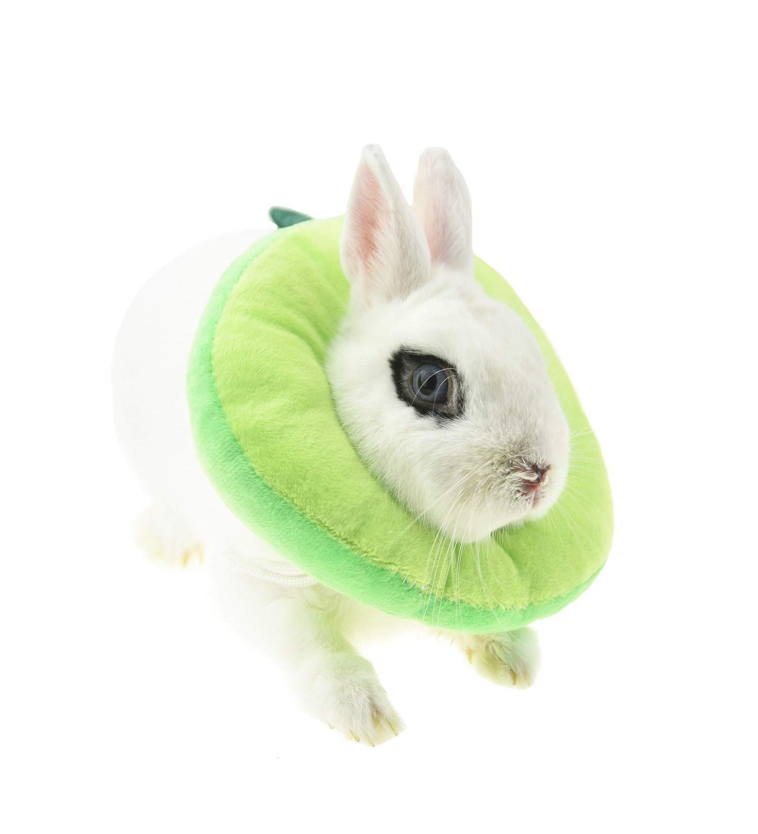 Fladorepet Rabbit Protection Cone & Elizabethan Collar for Small Animals | Avocado Costume (Small 1 Piece) - Buy Online on GoSupps.com