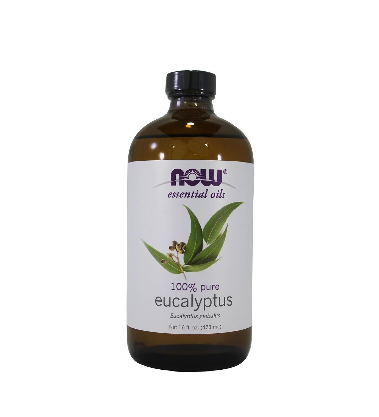 Now Foods: Eucalyptus Oil 16 oz ( 3 pack) - Buy Online on GoSupps.com