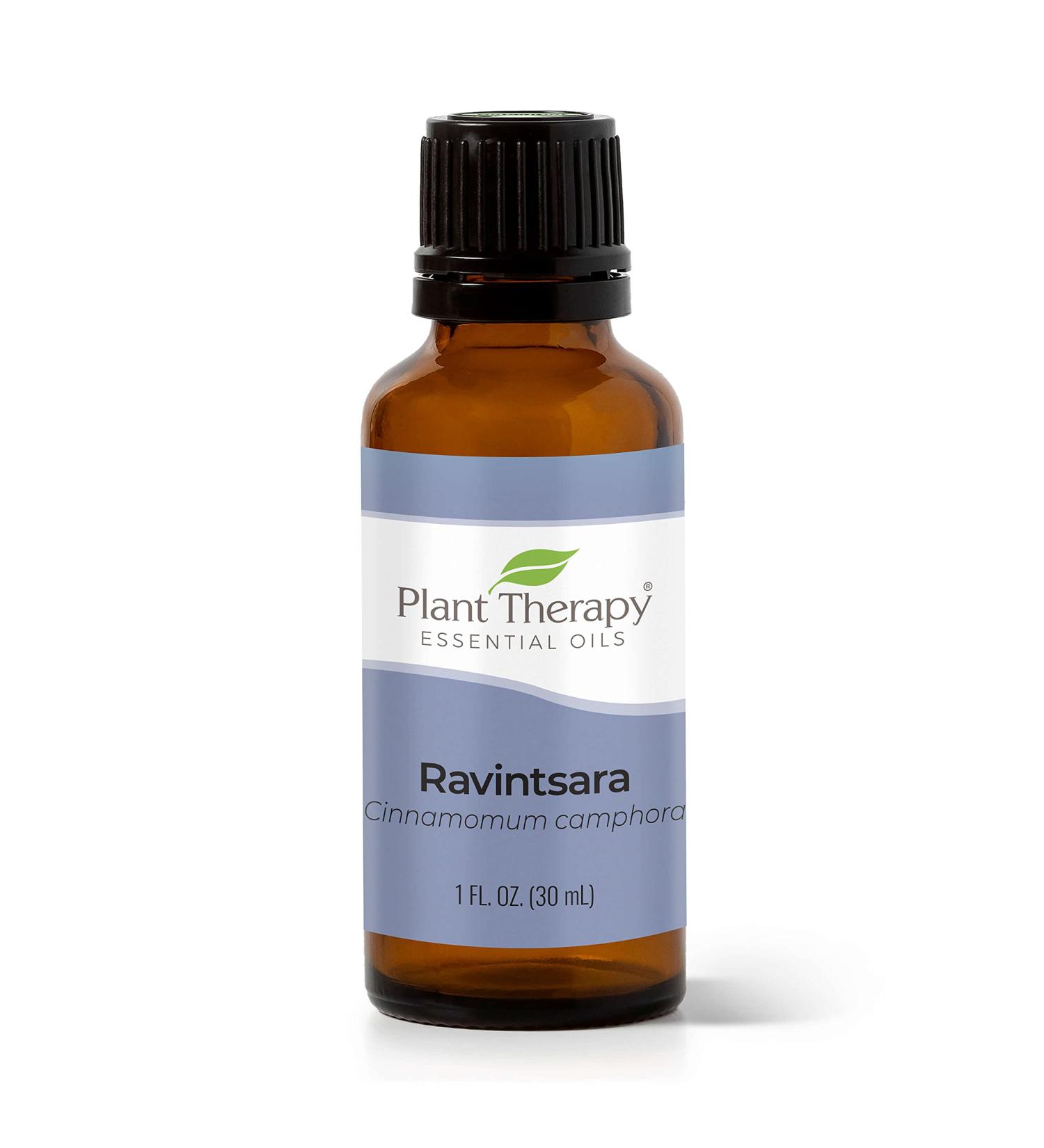 Buy 100% Pure Plant Therapy Ravintsara Essential Oil 30 mL - Undiluted Therapeutic Grade for International Shipping - Buy Online on GoSupps.com
