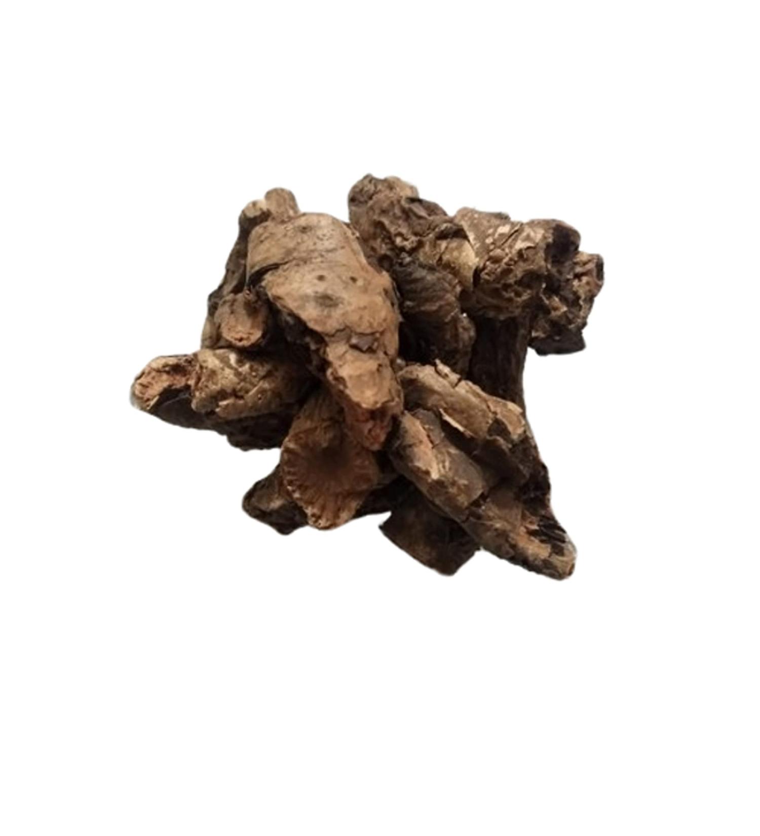RAW HERB/JADI BOOTI PASHAN BHED PATHARCHATTA ROOT PAKHANVED JADD AQUATIC ROTULA BERGENIA LIGULATA (100GM) - Buy Online on GoSupps.com