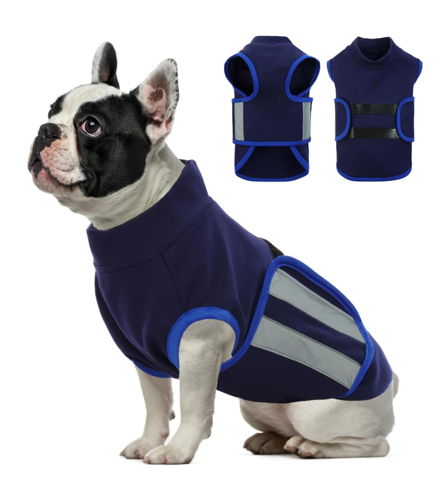 Hjumarayan Dog Jacket - Lightweight Reflective Vest for Small Dogs | Comfortable XS Dark Blue Dog Coat - Buy Online on GoSupps.com