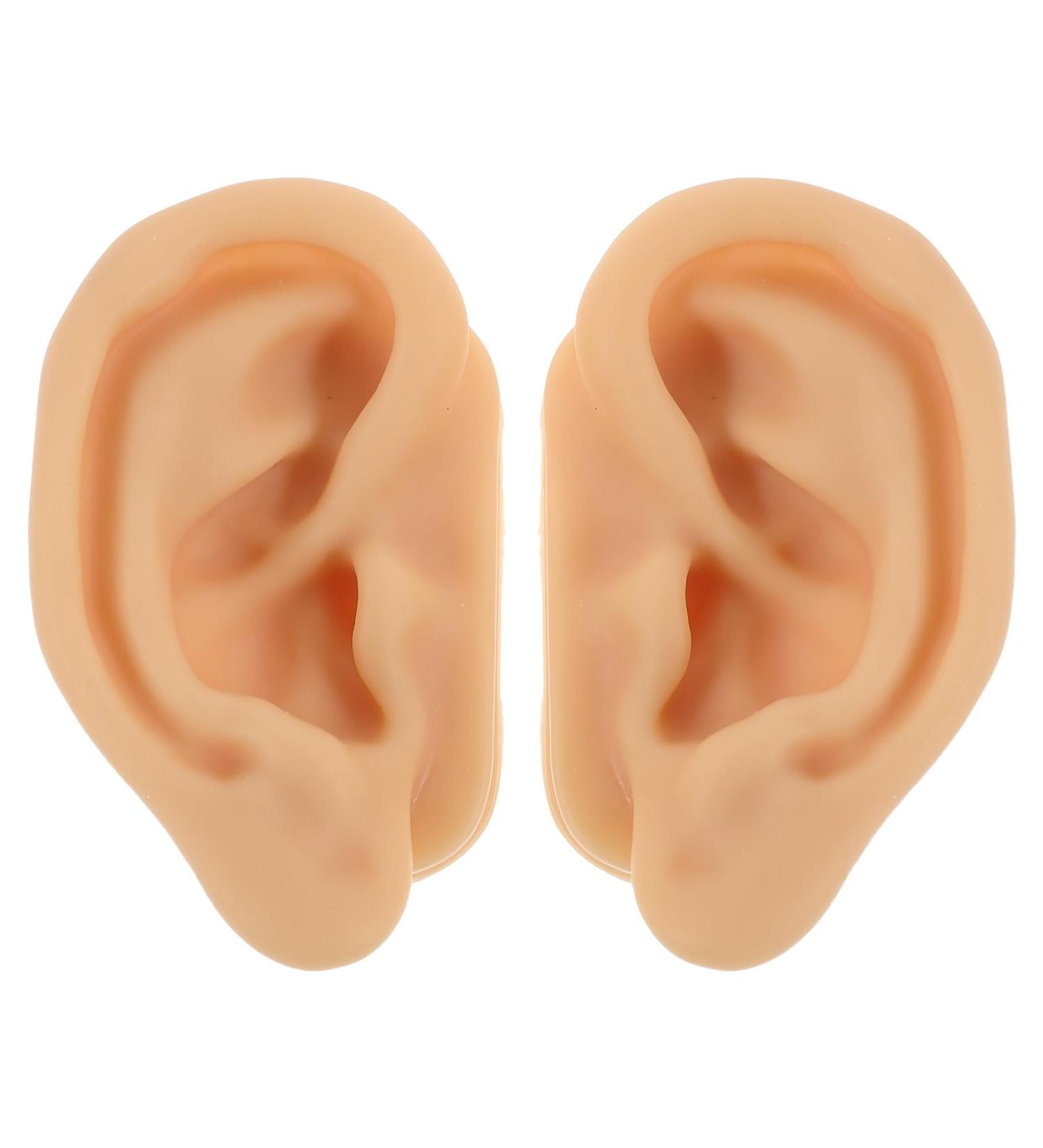 JHKNNK 1 Pair Silicone Ear Anatomy Model - Piercing Practice Realistic Fake Ear Model - Acupuncture Nursing Training Display Props for Classroom and Teaching Use - Buy Online on GoSupps.com