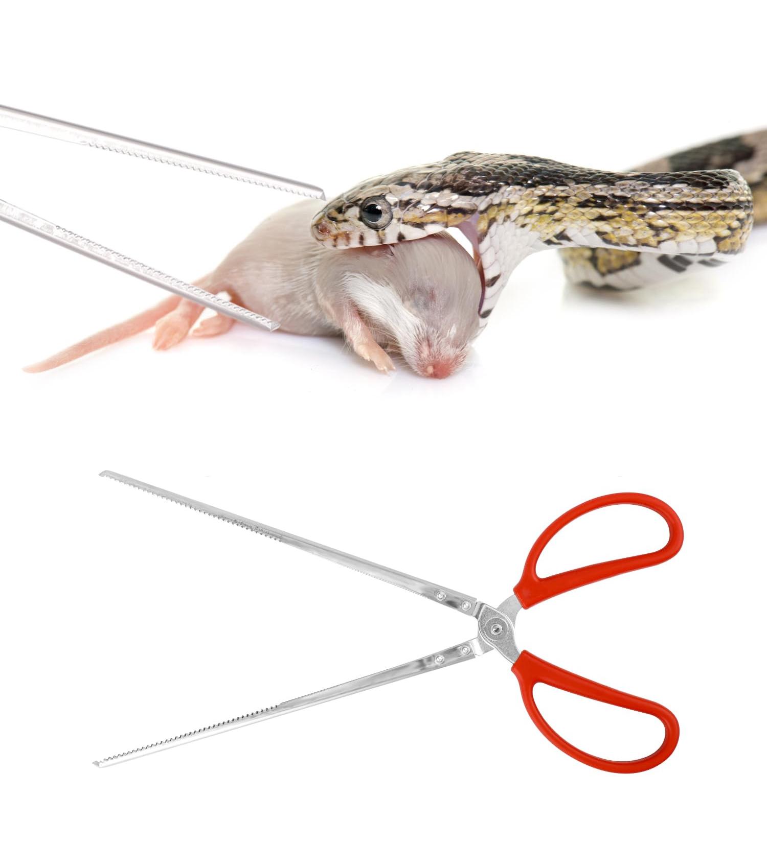 BOXOB Reptile Feeding Tongs 15 Inch Extra Long Snake Feeding Tongs Non-Skidding Easy-Grip Tweezers Accessory for Terrarium Reptile Vivarium Corn Ball Python Axolotl Bearded Dragon Supplies - Buy Online on GoSupps.com