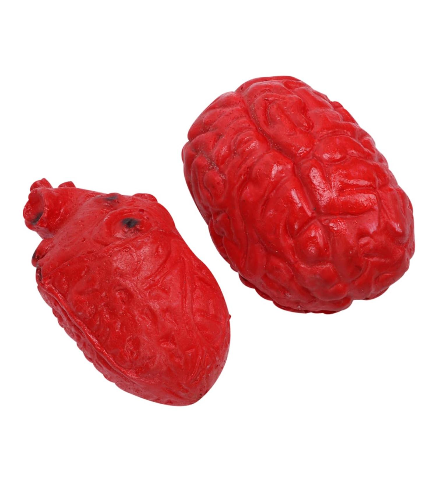 ABOOFAN 2 Pcs Simulated Organ Lunch Box Body Organs Props Fake Body Parts Cosplay Body Parts Halloween Realistic Heart Halloween Body Parts Halloween Decor Plastic Artificial Bloody - Buy Online on GoSupps.com