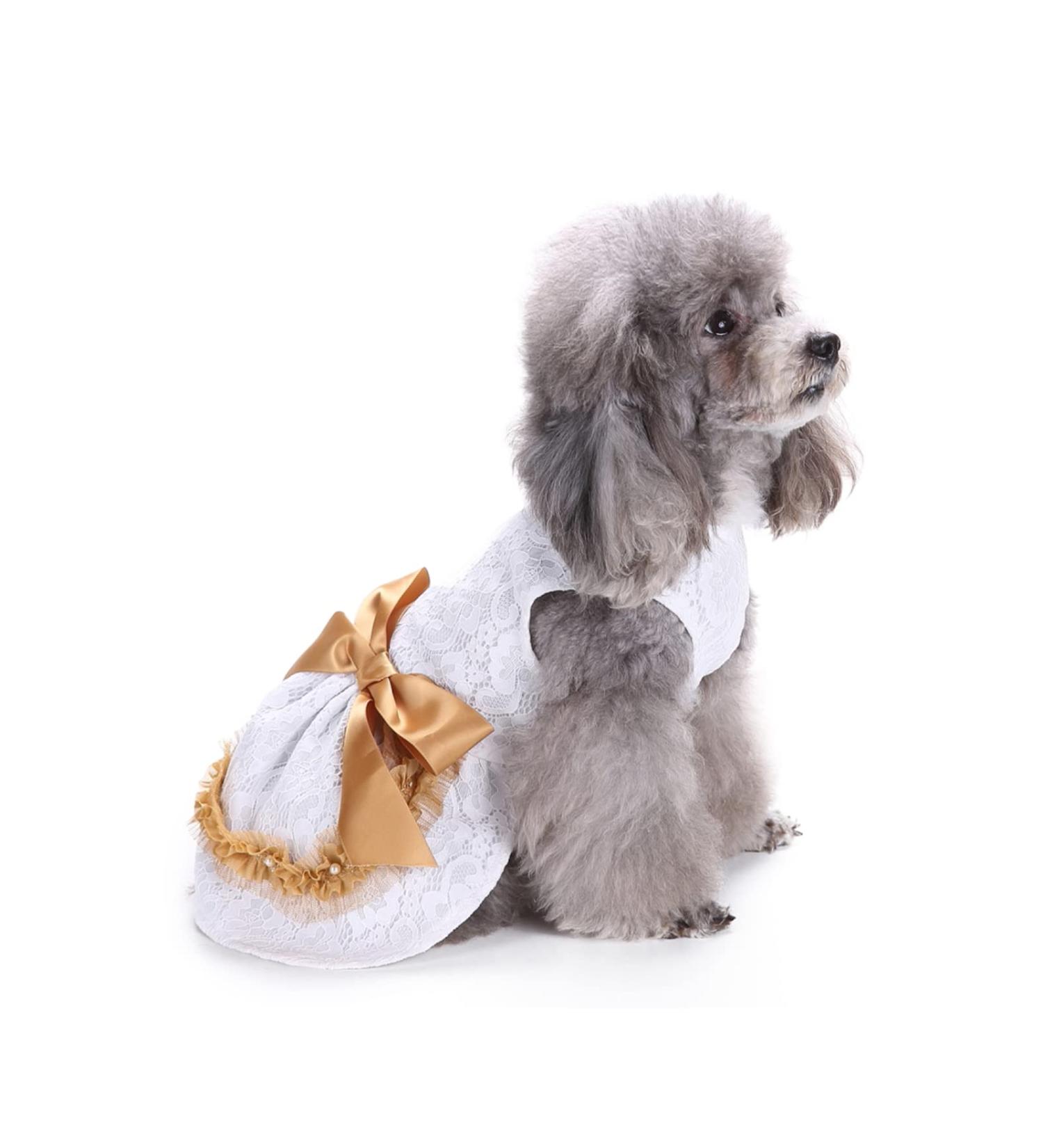 Petcute Dog Dress - Elegant Flower Tutu Skirt & Bowknot Clothing for Little Dogs | Summer Wedding Puppy Outfits - Buy Online on GoSupps.com