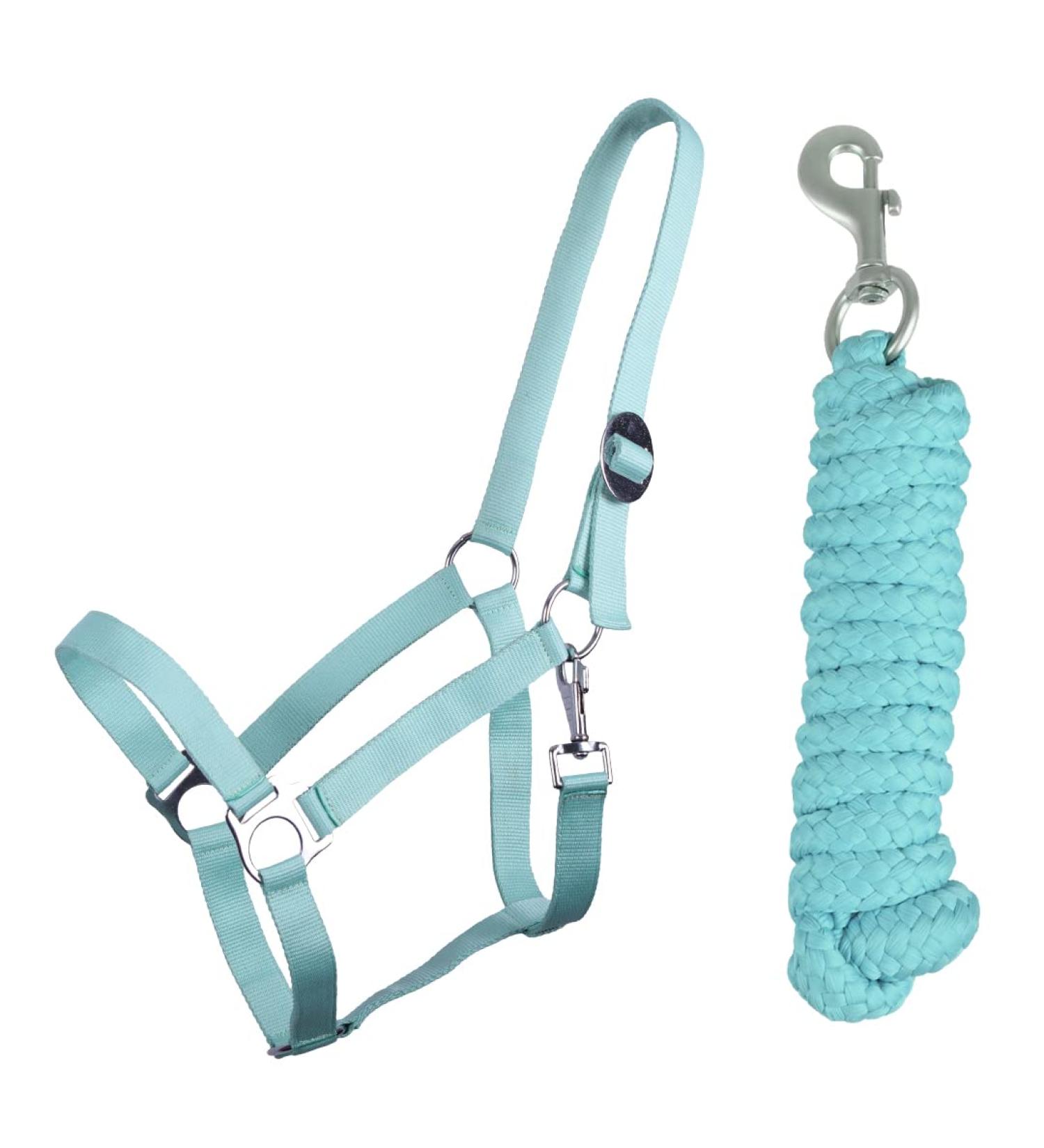 QHP bv Halter Set Beginner Halter + Lead Rope Heavy Snap Hook (Minishetty Ice Green) Minishetty ice green