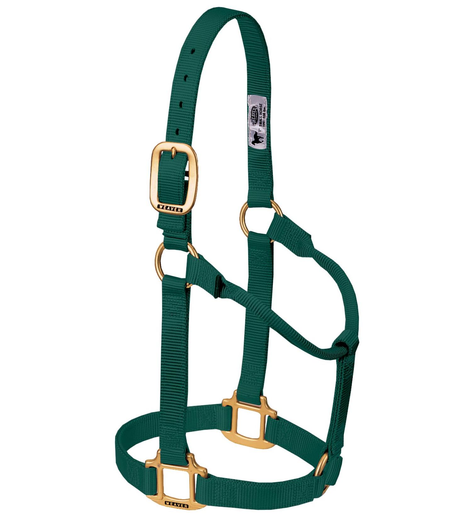 WEAVER Leather Non-adjustable Halter Hunter Green Average Horse