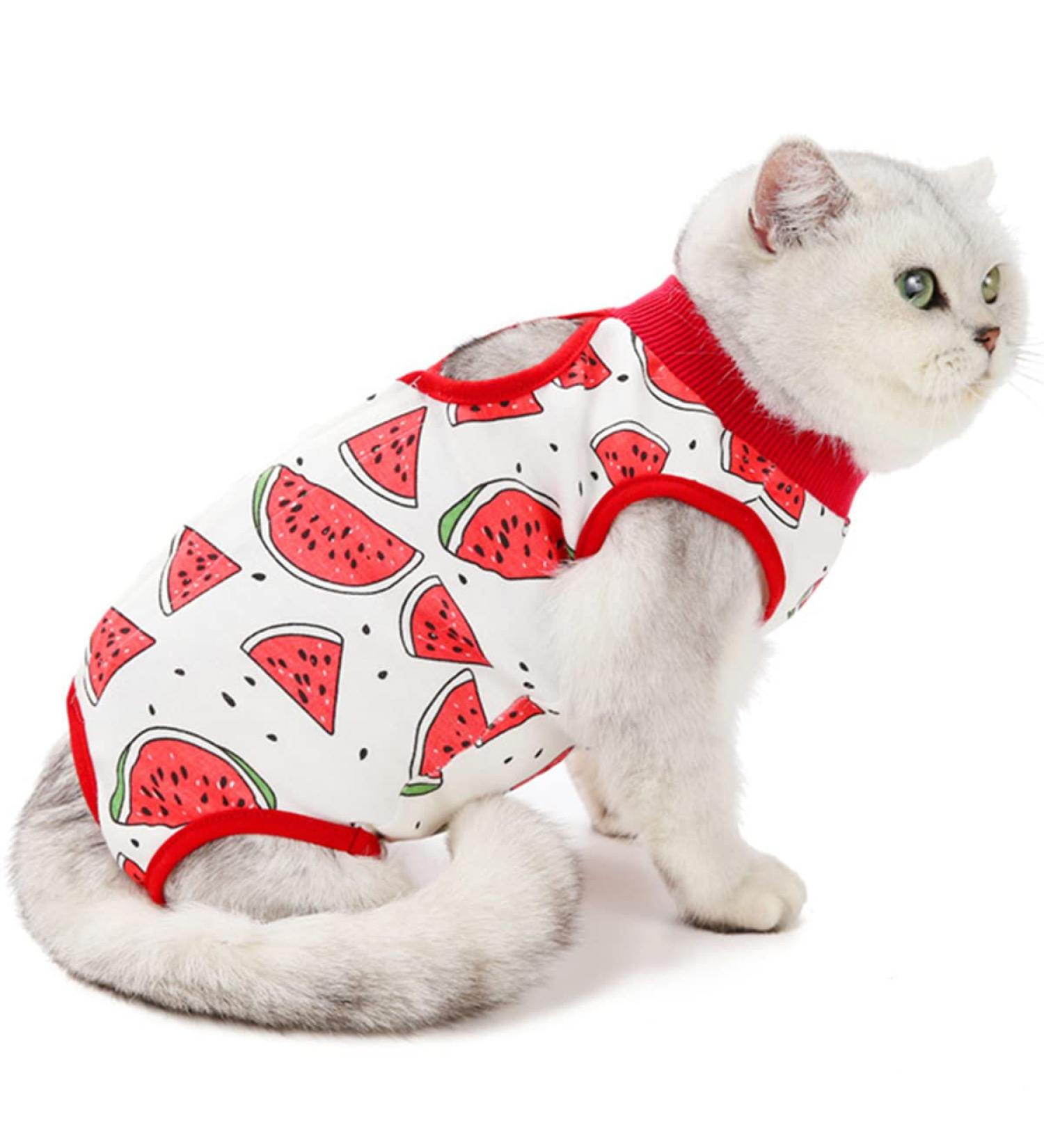 Agoumlux Katzenbody f r nach der Kastration - Rote Katze Recovery Kleidung mit Operationsschutz Baumwolle XL - Buy Online on GoSupps.com