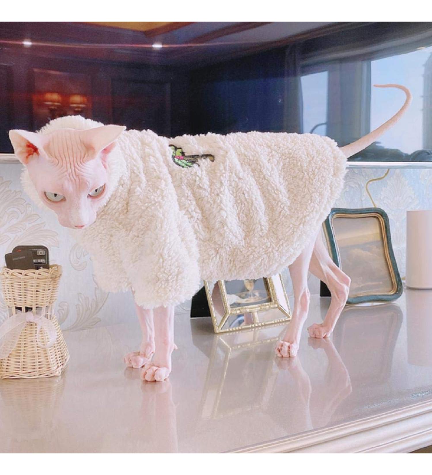 TENGTUD Hairless Cat Clothes Autumn And Winter Thicken Sphynx/Devon Cat White Coat-XL - Buy Online on GoSupps.com