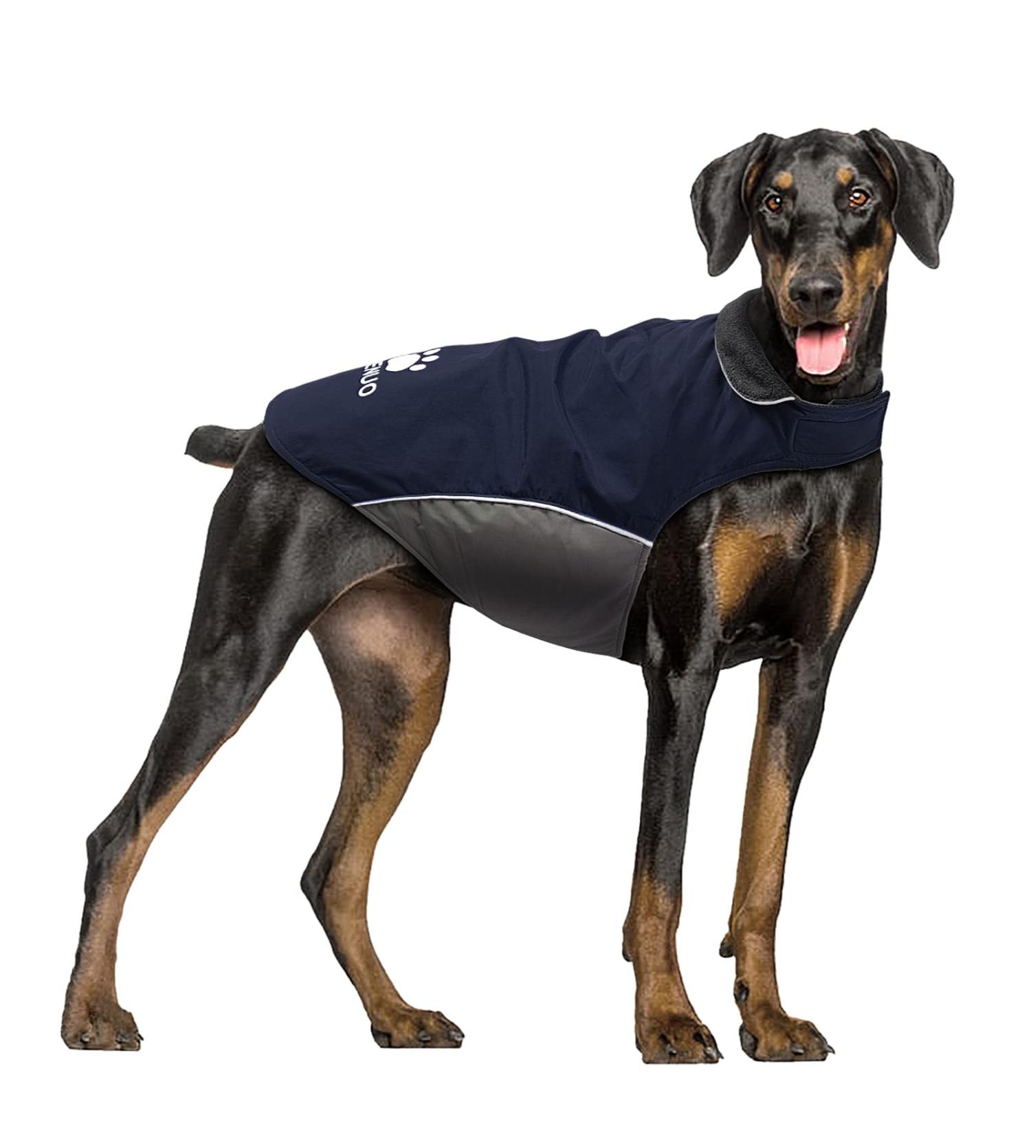 IREENUO 2XL Waterproof Dog Coat - Warm Windproof Jacket for Medium to Large Dogs with Reflex Strips & Adjustable Straps - Perfect Winter Protection - Buy Online on GoSupps.com