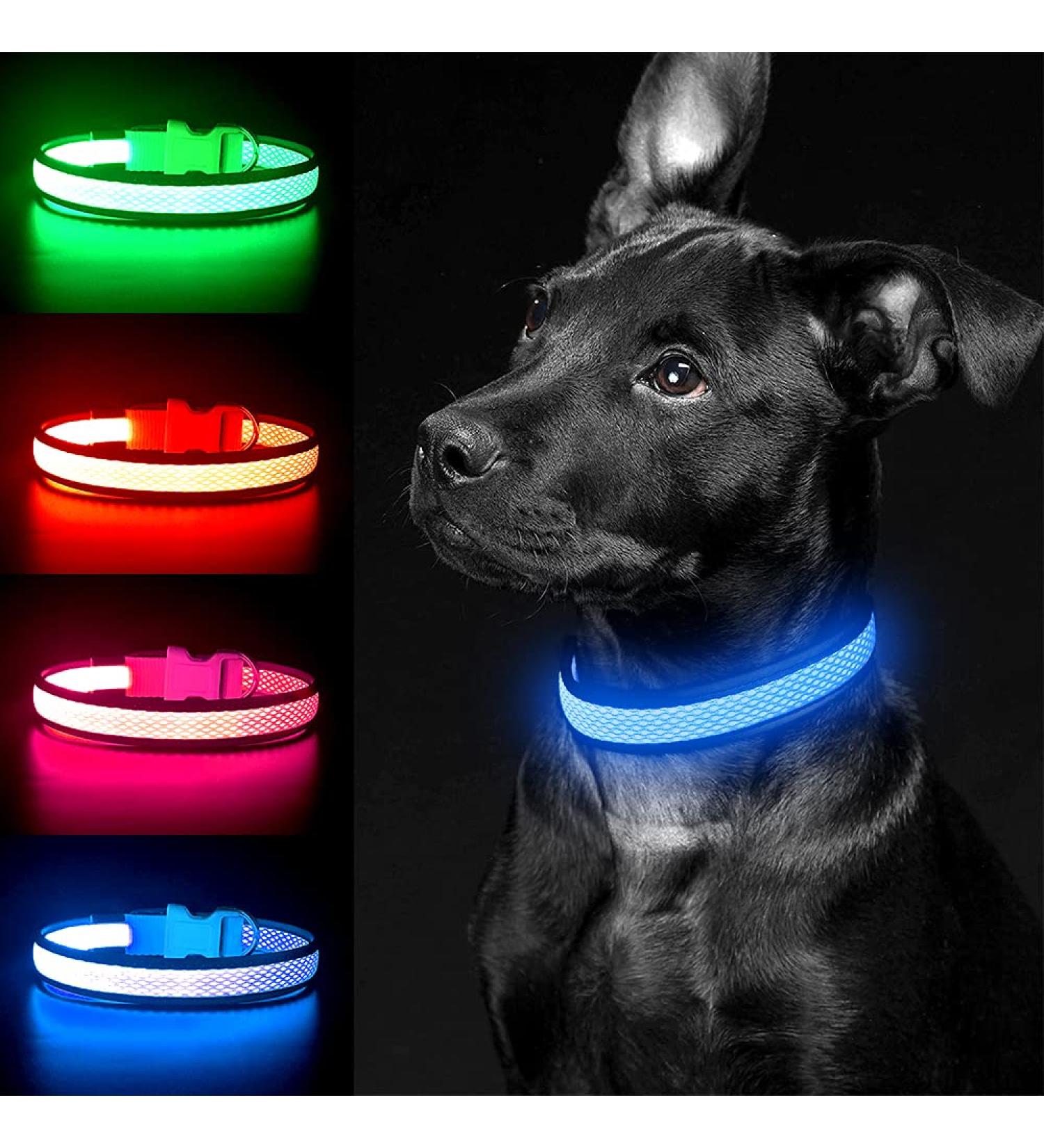 Yfbrite Large Blue LED Dog Collar | Rechargeable Reflective & Flashing Safety Collar | Adjustable Night Light for Dogs - Buy Online on GoSupps.com