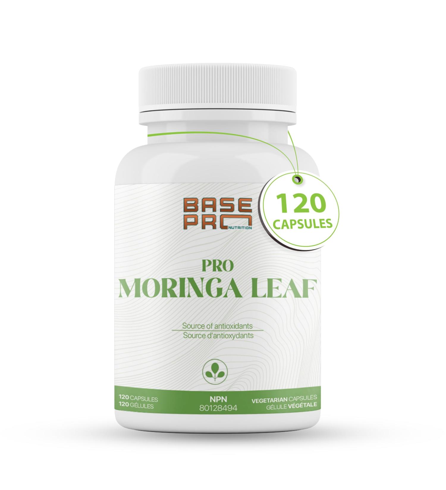 PRO Moringa Leaf Capsules - 120 CAPSULES | Moringa Leaf 1200mg per Serving | Base Pro Nutrition | 120 Vegetarian Capsules | Pro Moringa Leaf Powder | MORINGA - Buy Online on GoSupps.com