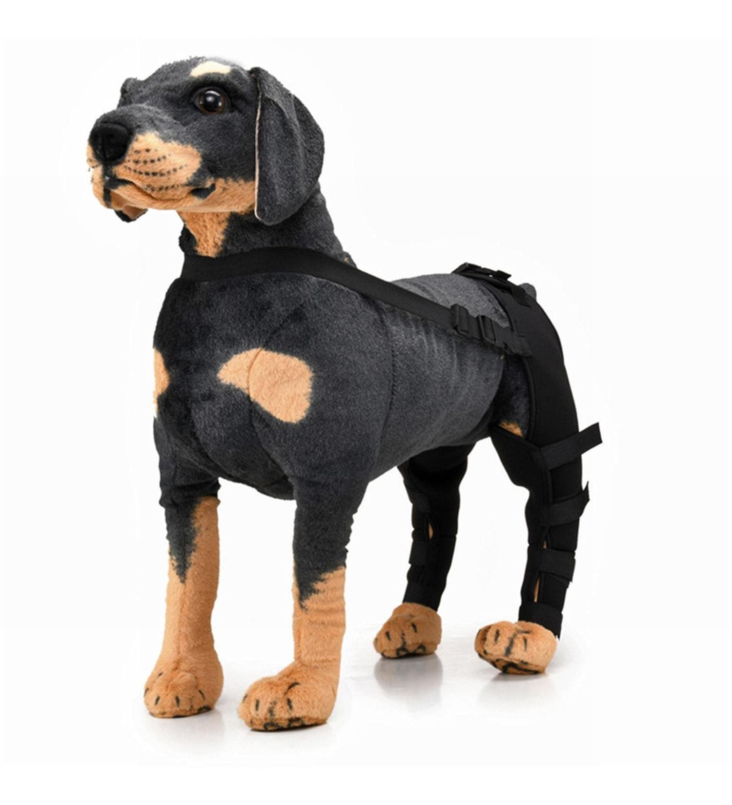 Pet Dog Hind Leg Brace Support Belt Pet Dog Double Hind Leg Brace Support Belt for Heals Prevents Injuries Sprains Protects Wounds. B X-Small - Buy Online on GoSupps.com