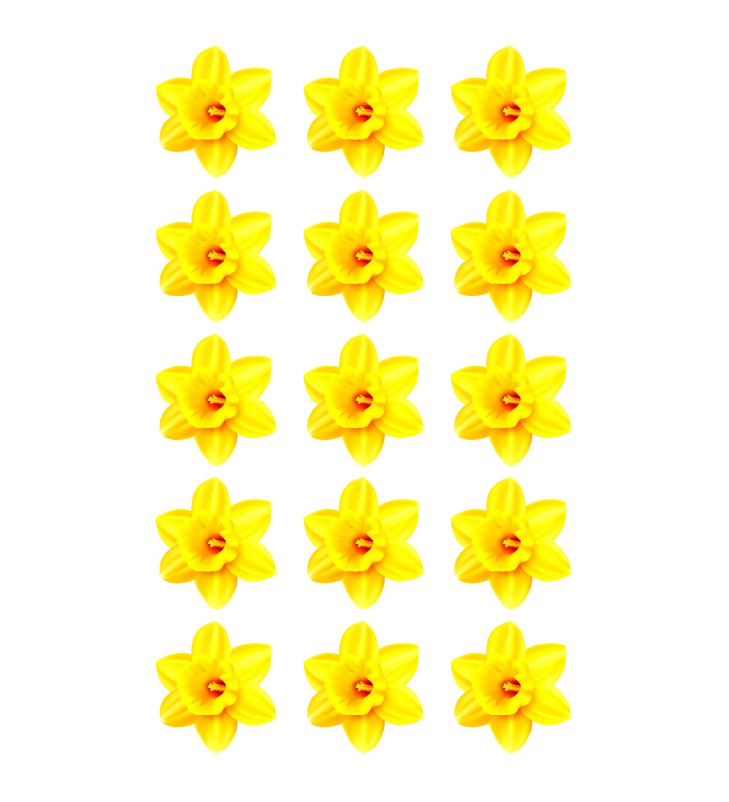 15 x Daffodil Flower Edible Wafer or Icing Cupcake Toppers Fun Spring Party Cake Decorations Perfect For Brownies Cookies Muffins & More! (Edible Wafer Card)