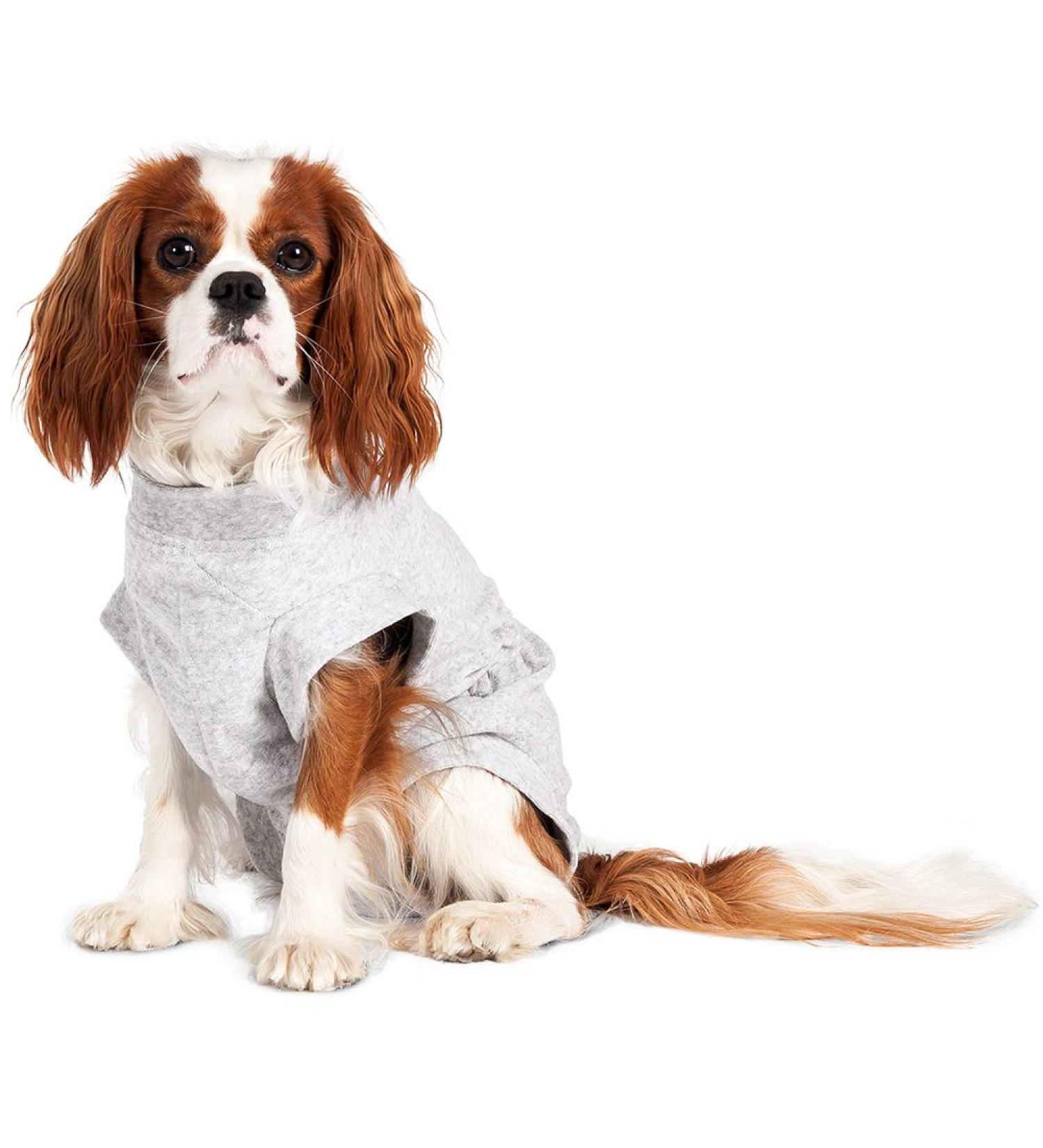 Buy Karlie Safety Body - Medical Care Cotton Pet Blanket Grey 26 cm | Fast International Shipping - Buy Online on GoSupps.com