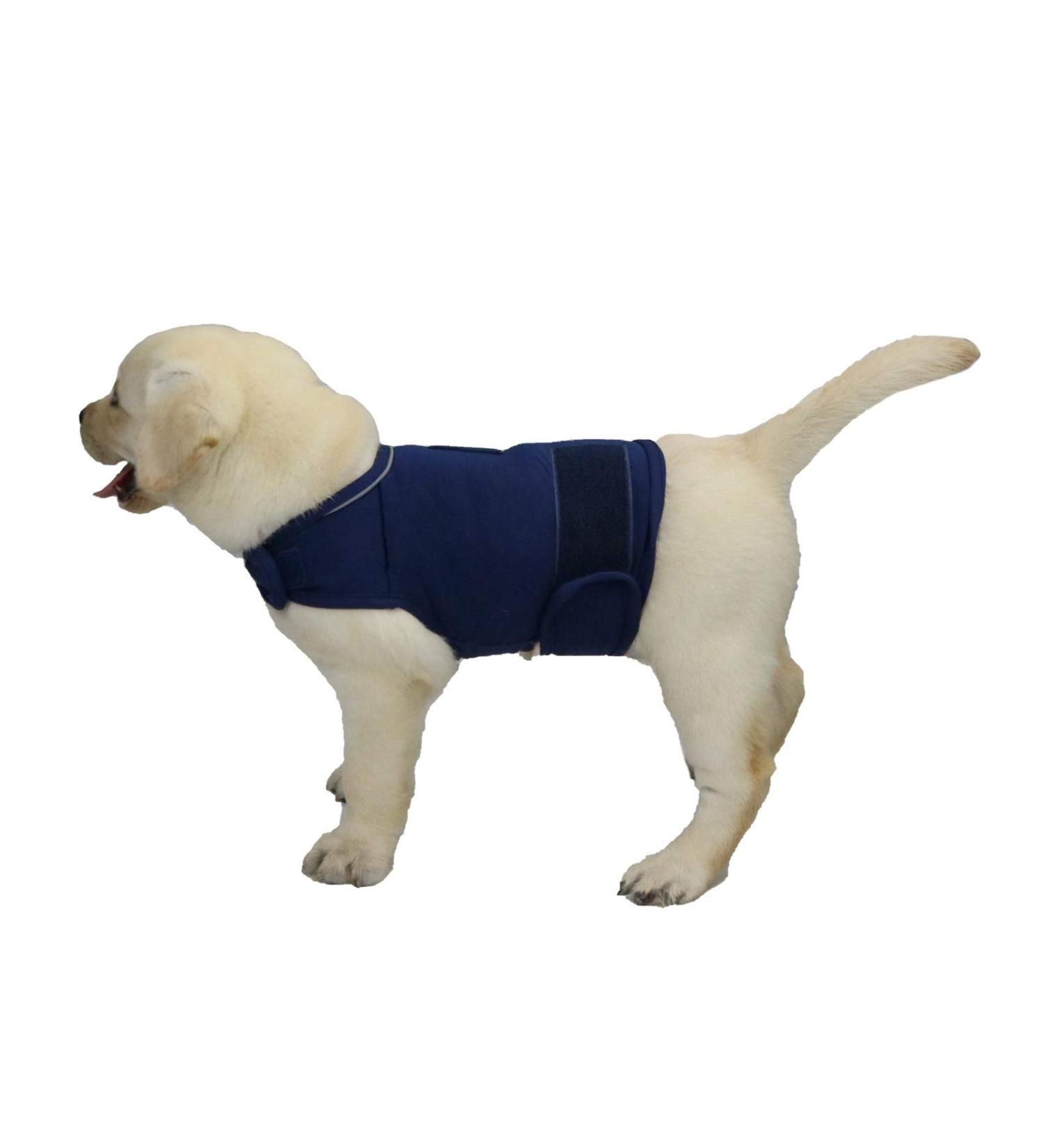 Shop Cattamao Comfortable Dog Coat - Soothing Vest for Anxiety Relief - Thunder Shirt in Navy (XS to XL) - International Shipping Available - Buy Online on GoSupps.com
