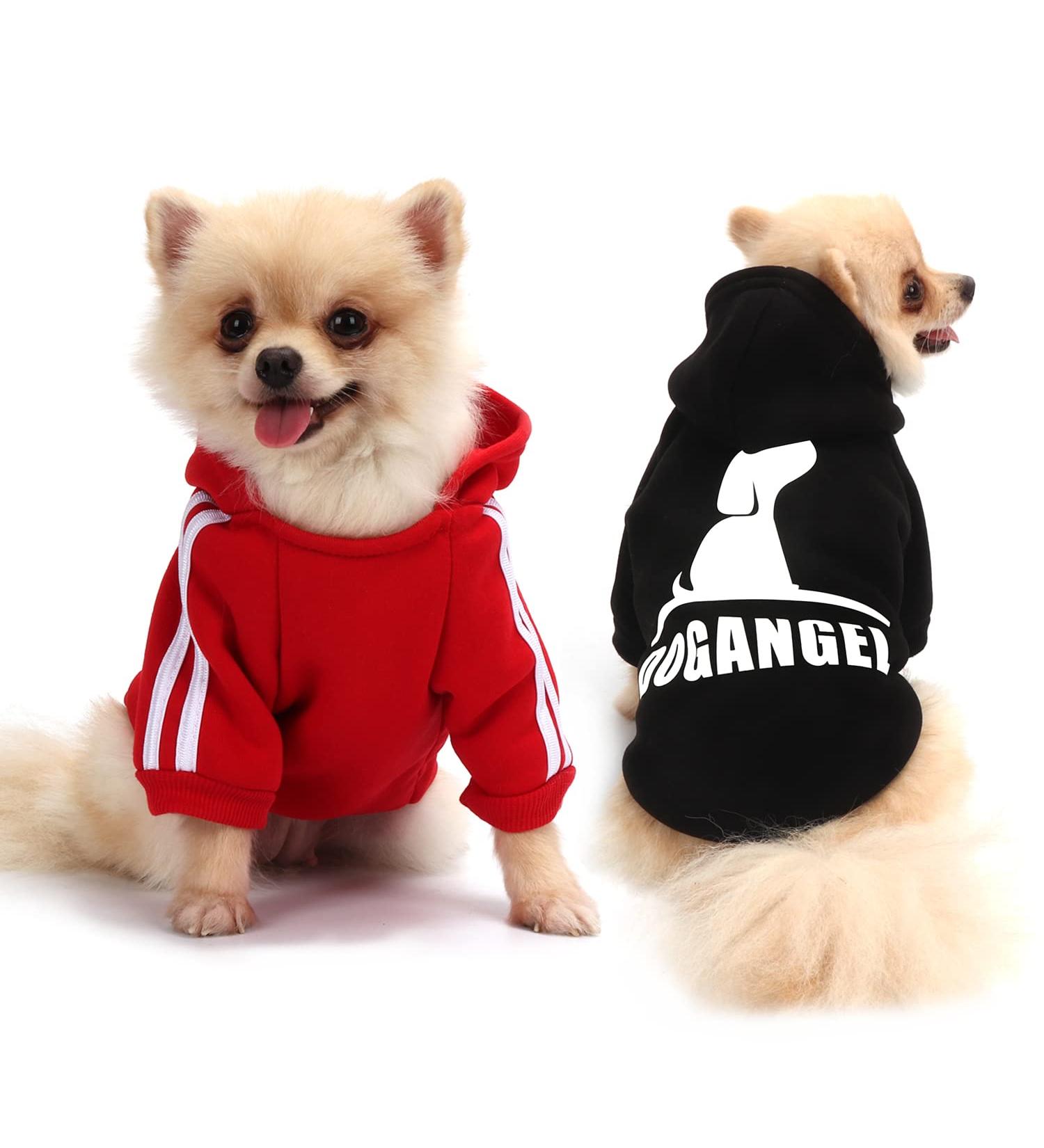 QiCheng&LYS Dog Hoodie - Winter Coat for Small Dogs | Chihuahua Jacket (A-Black/Red XS) - Buy Online on GoSupps.com