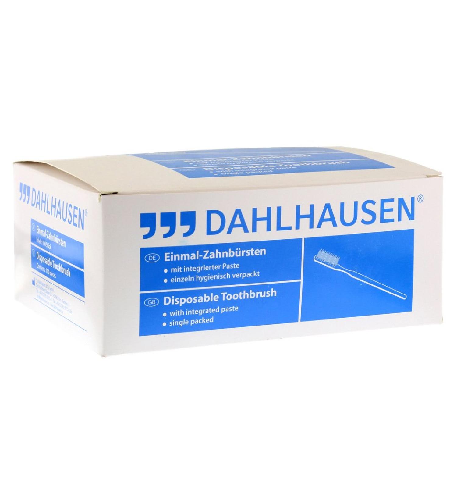Dilz toothbrush with Paste 100 ST