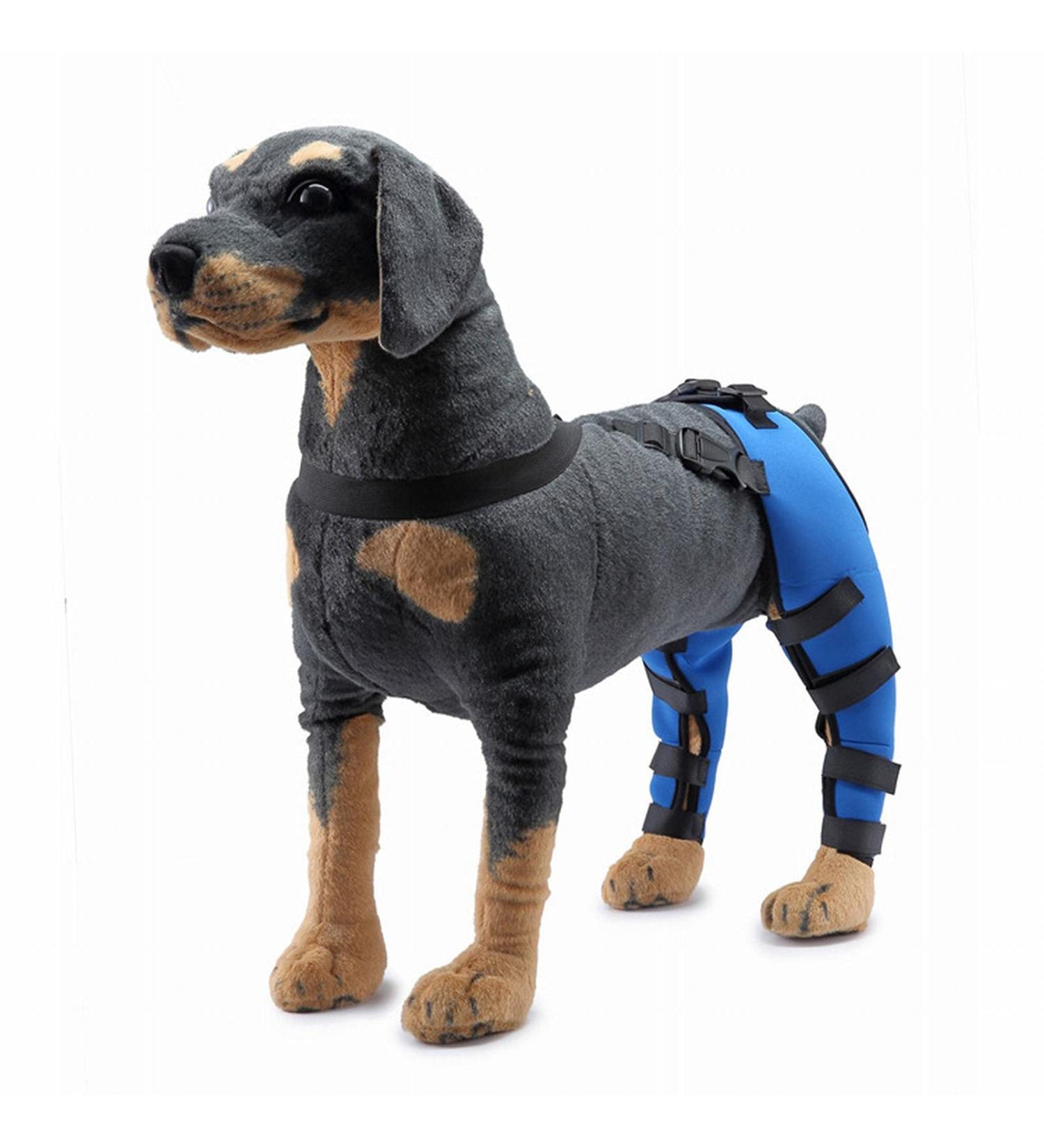 Pet Dog Hind Leg Brace Support Belt Pet Dog Double Hind Leg Brace Support Belt for Heals Prevents Injuries Sprains Protects Wounds. C Large - Buy Online on GoSupps.com