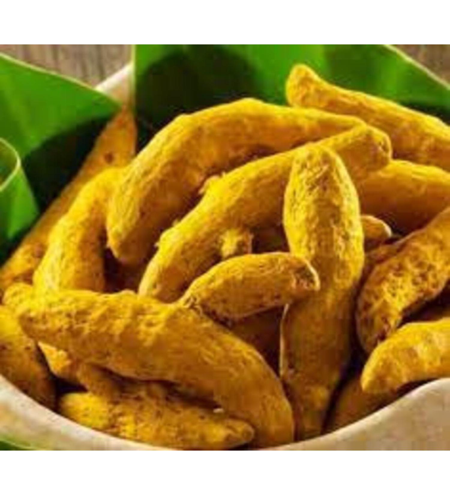 AYURVEM HERBS Whole Turmeric Stick | Organically Grown Haldi Gatiya| Sabut Haldi | Whole Haldi yellow