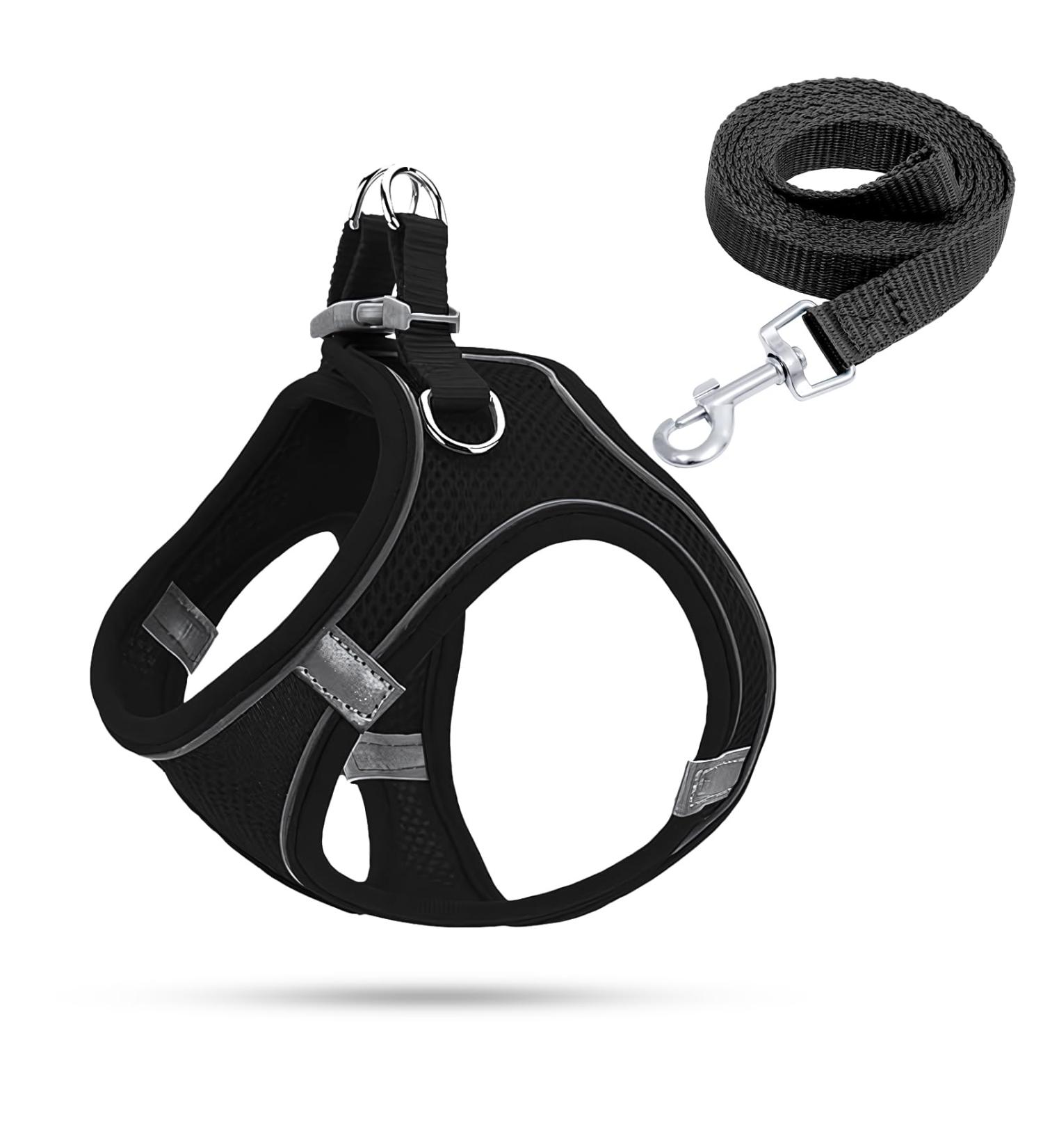 Shop Small Dog Harness & Puppy Dishes - Curli Harnesses & Catware for XS Dogs - Buy Online on GoSupps.com