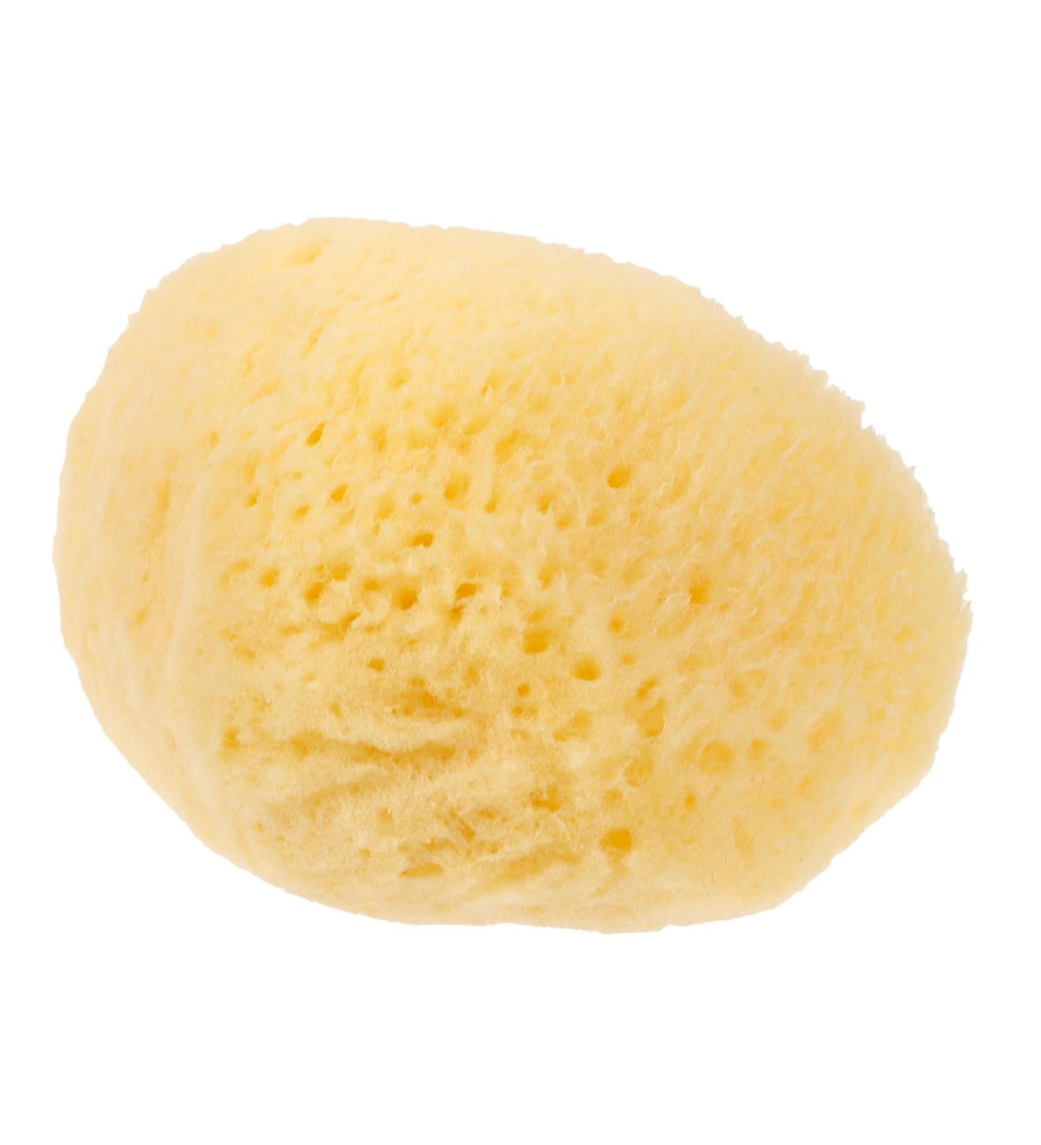 MERRYHAPY Natural Sponge Greece Sponges for Facials Facial Sponges Cleansing Sponges for Face Facial Cleansing Sponge Face Scrubber Face Sponge for Washing Face Facial Supplies Professional - Buy Online on GoSupps.com