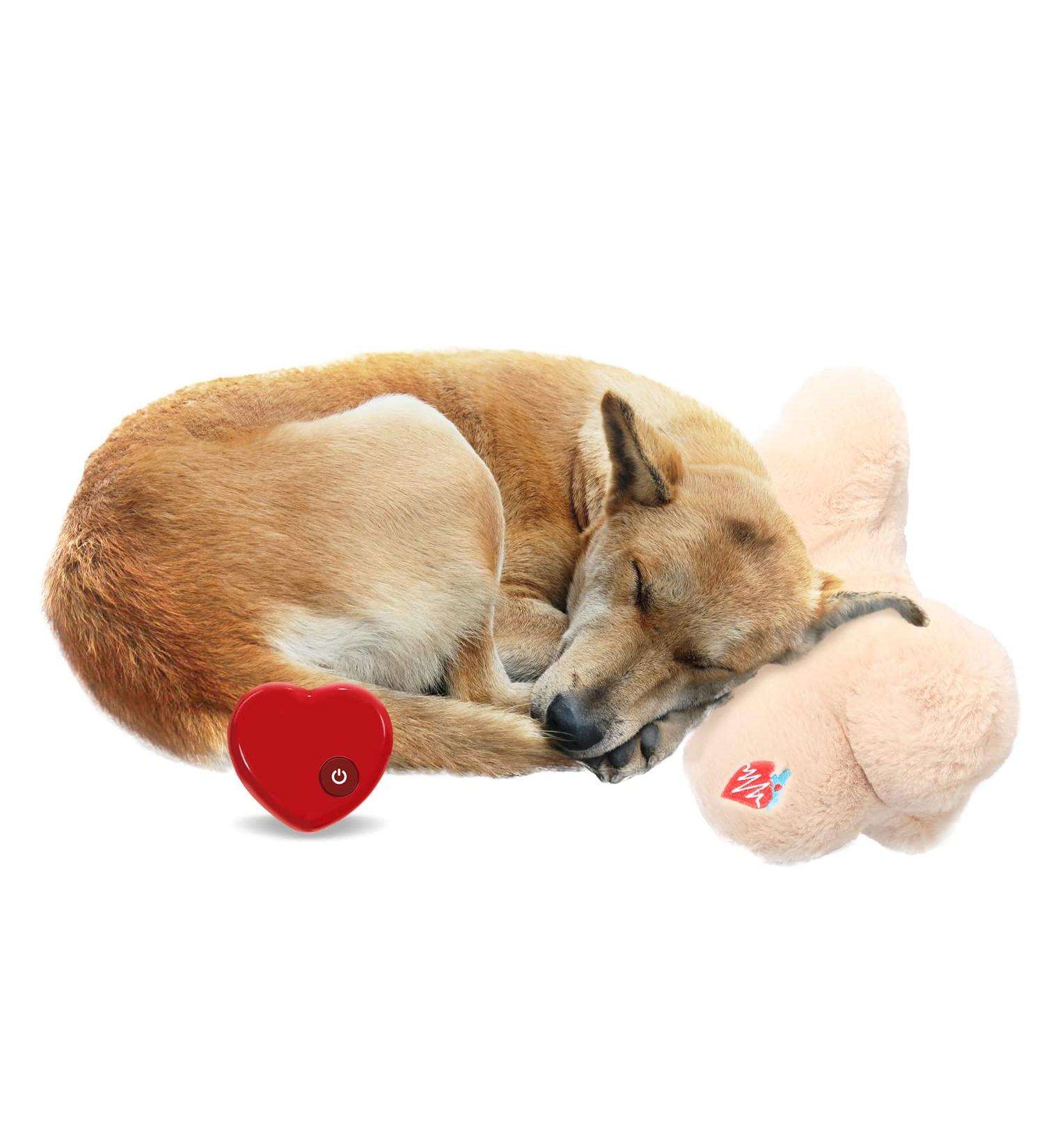 ALL FOR PAWS Puppy Heartbeat Pillow - Comforting Dog Cushion & Sleep Aid for Puppies | Plush Toy for Puppy Anxiety Relief - Buy Online on GoSupps.com